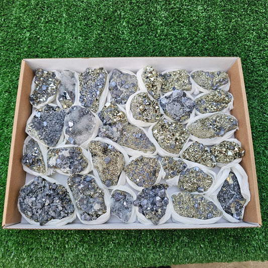 30 pc Galena crystals on octahedral pyrite