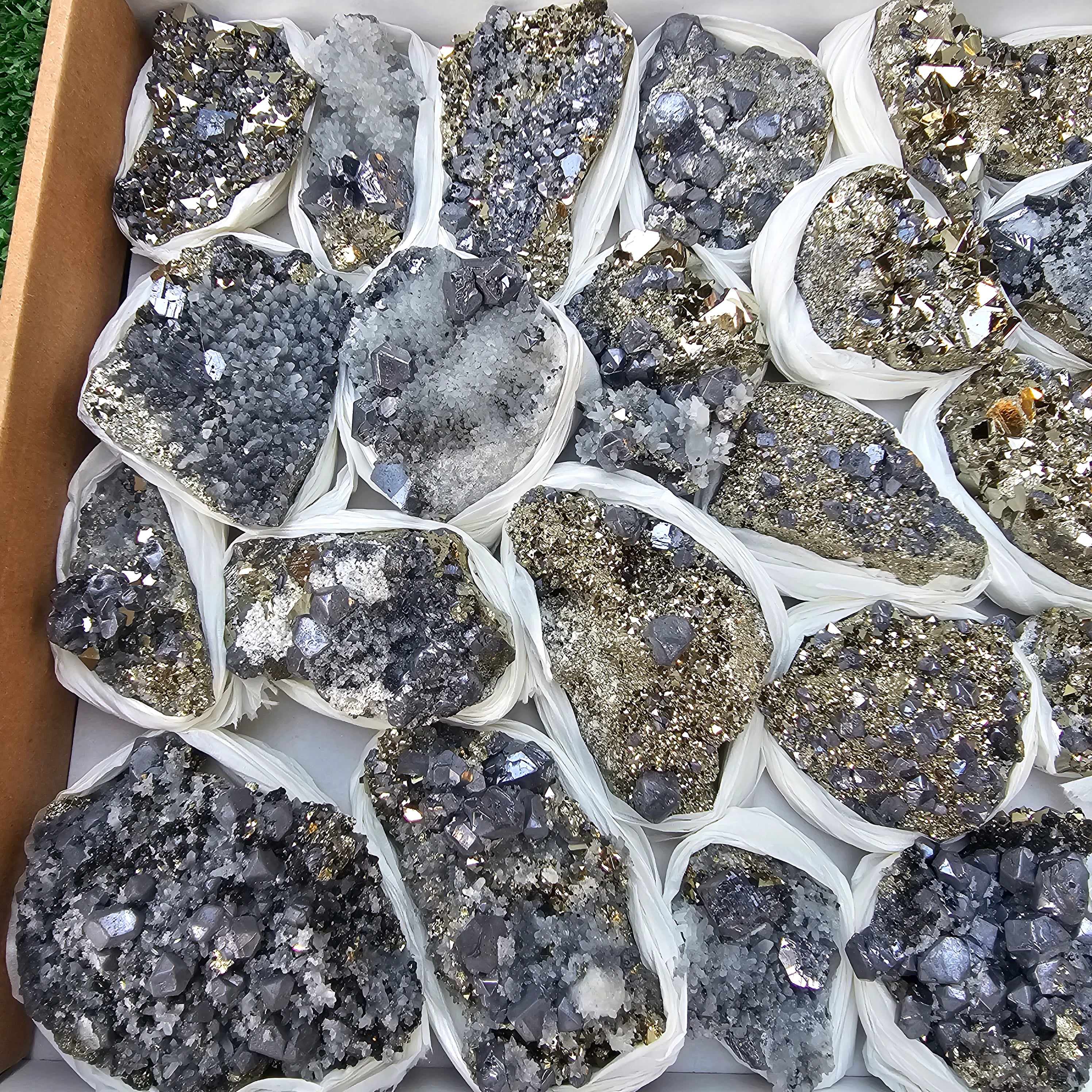 30 pc Galena crystals on octahedral pyrite