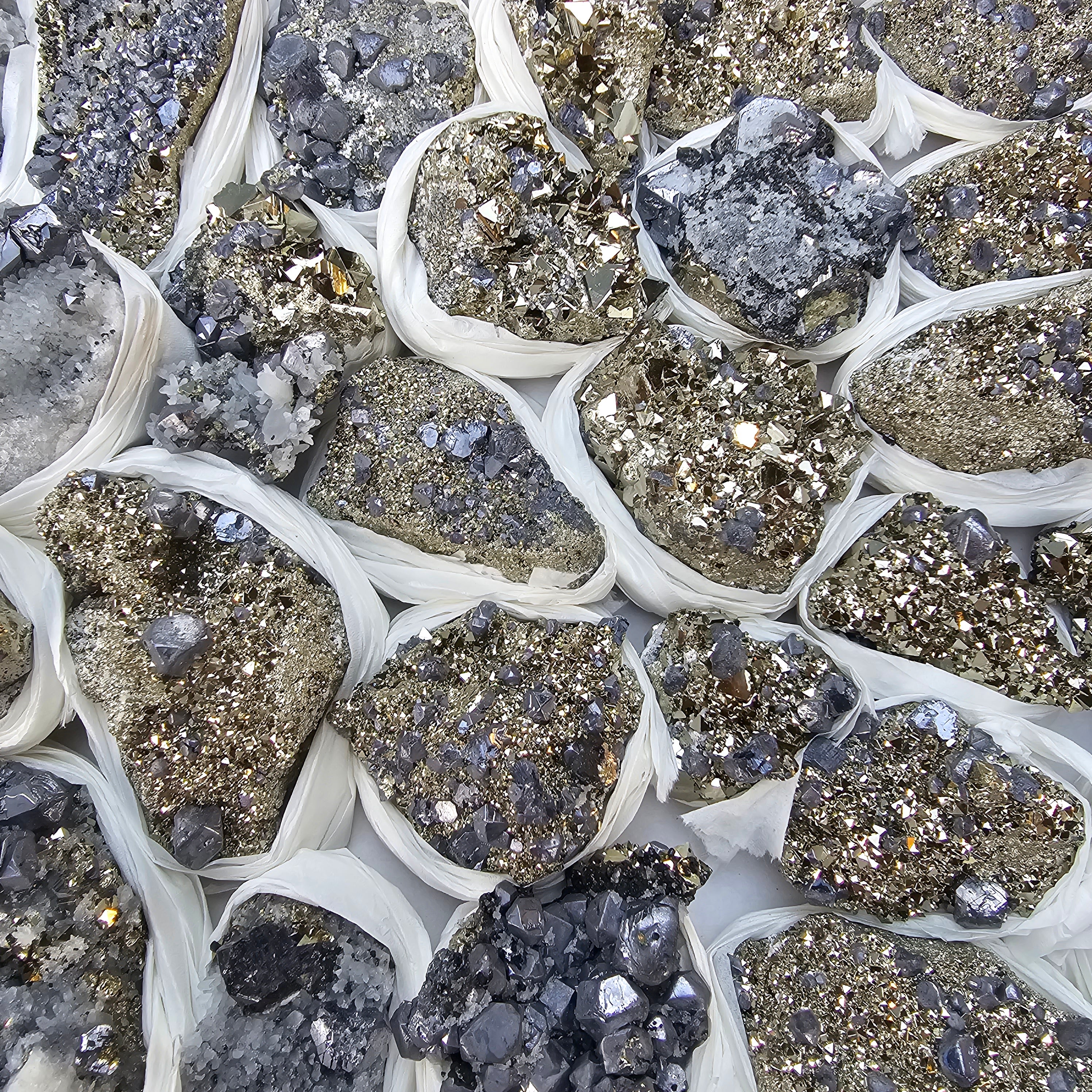 30 pc Galena crystals on octahedral pyrite