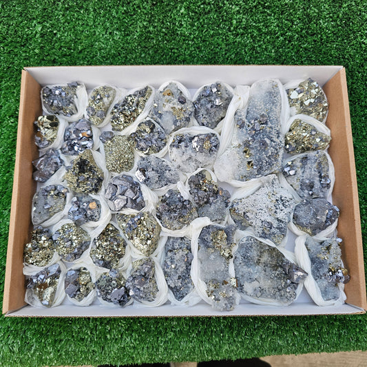 35 pc Galena crystals on octahedral pyrite