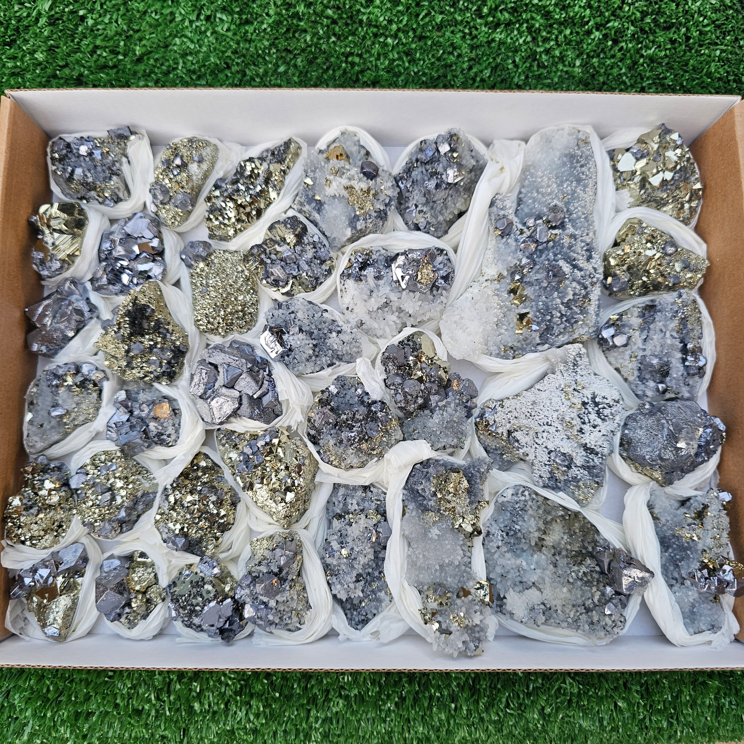 35 pc Galena crystals on octahedral pyrite