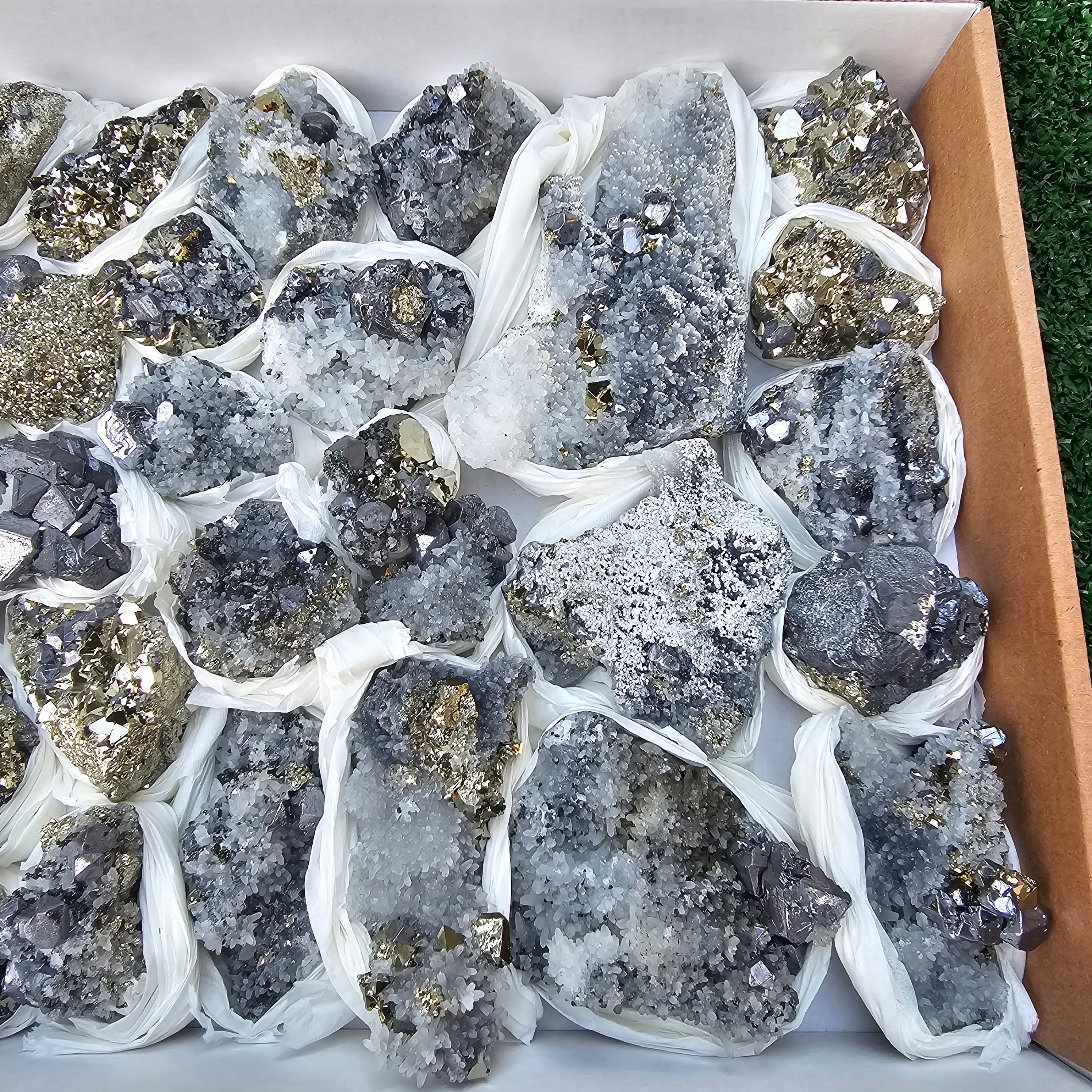 35 pc Galena crystals on octahedral pyrite