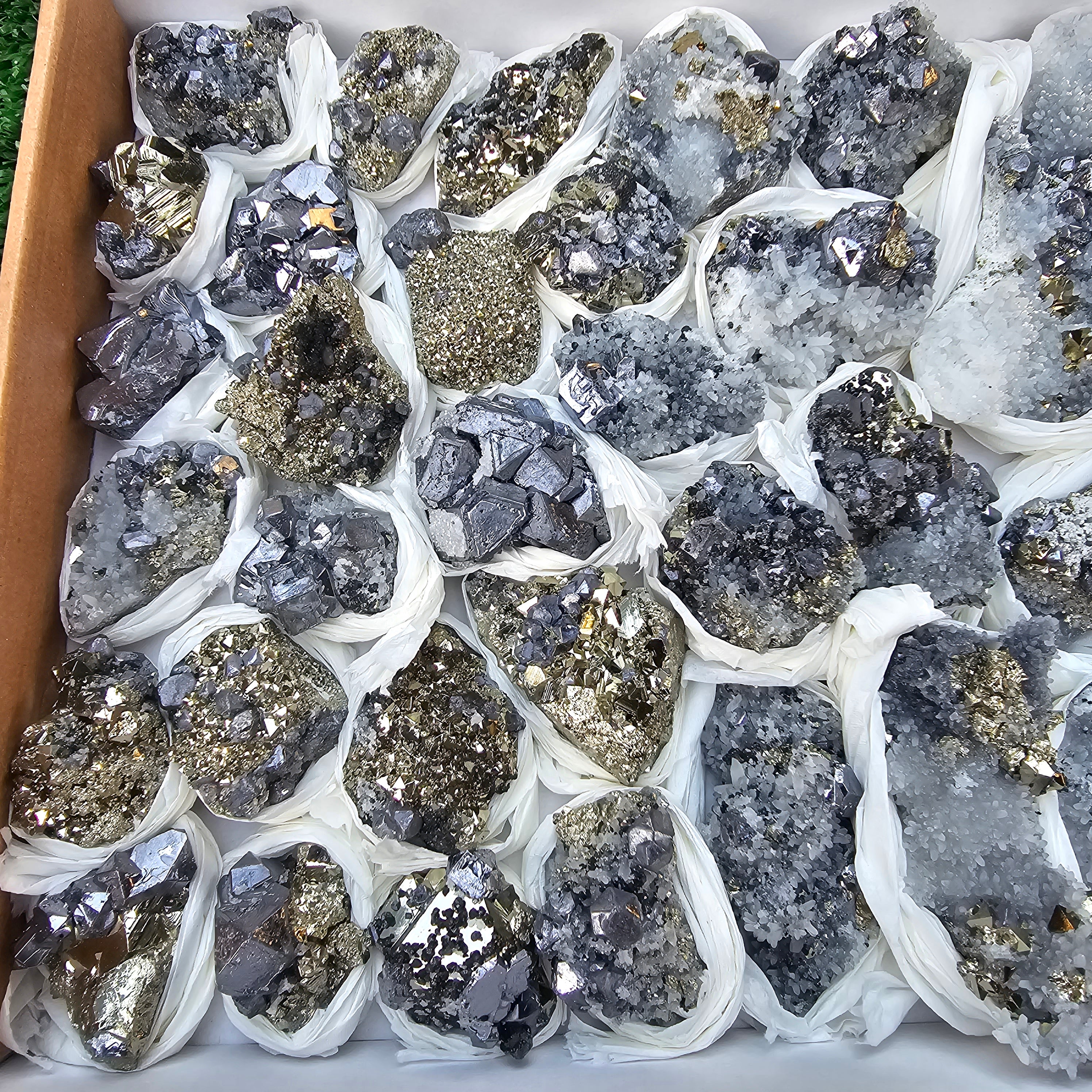 35 pc Galena crystals on octahedral pyrite