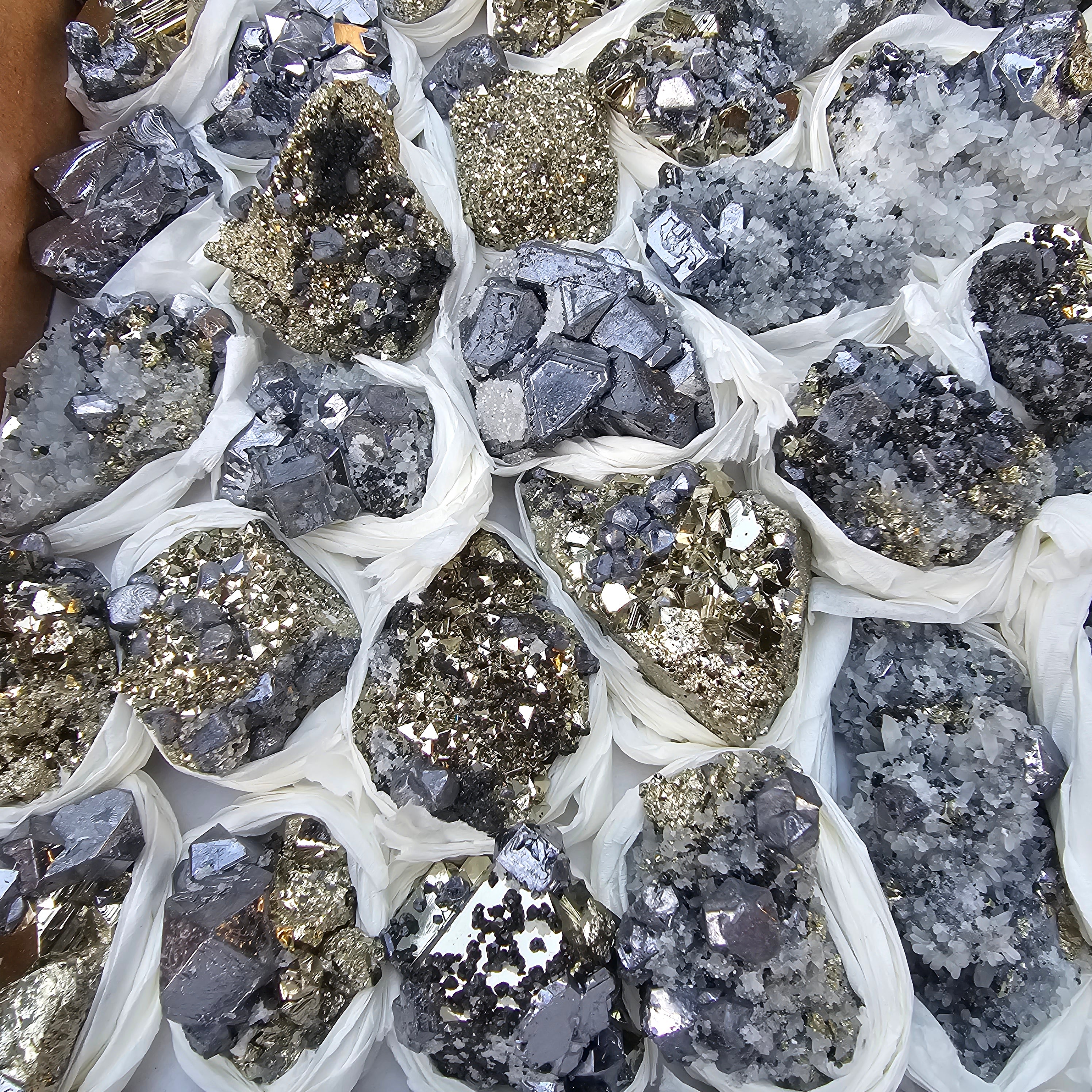 35 pc Galena crystals on octahedral pyrite