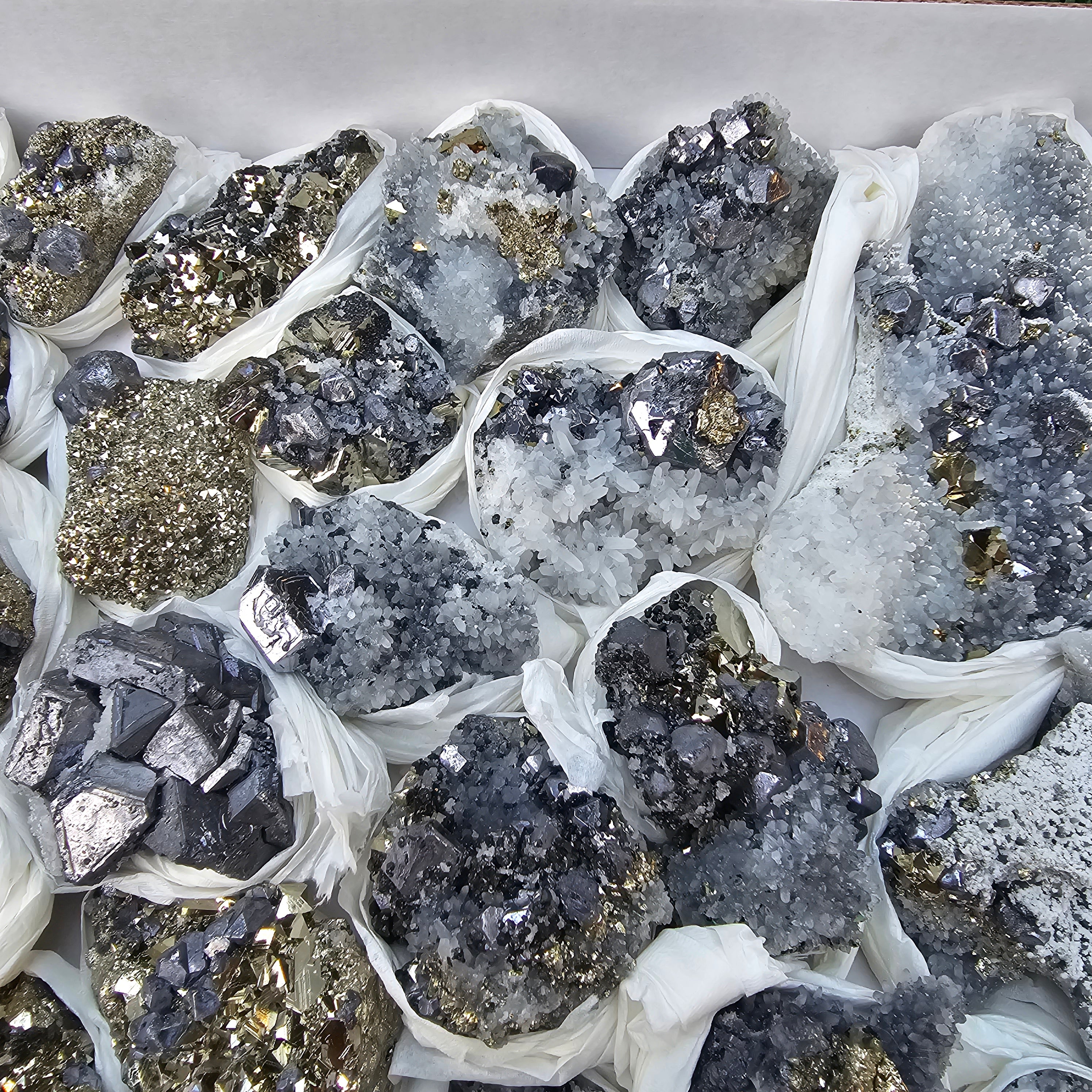 35 pc Galena crystals on octahedral pyrite