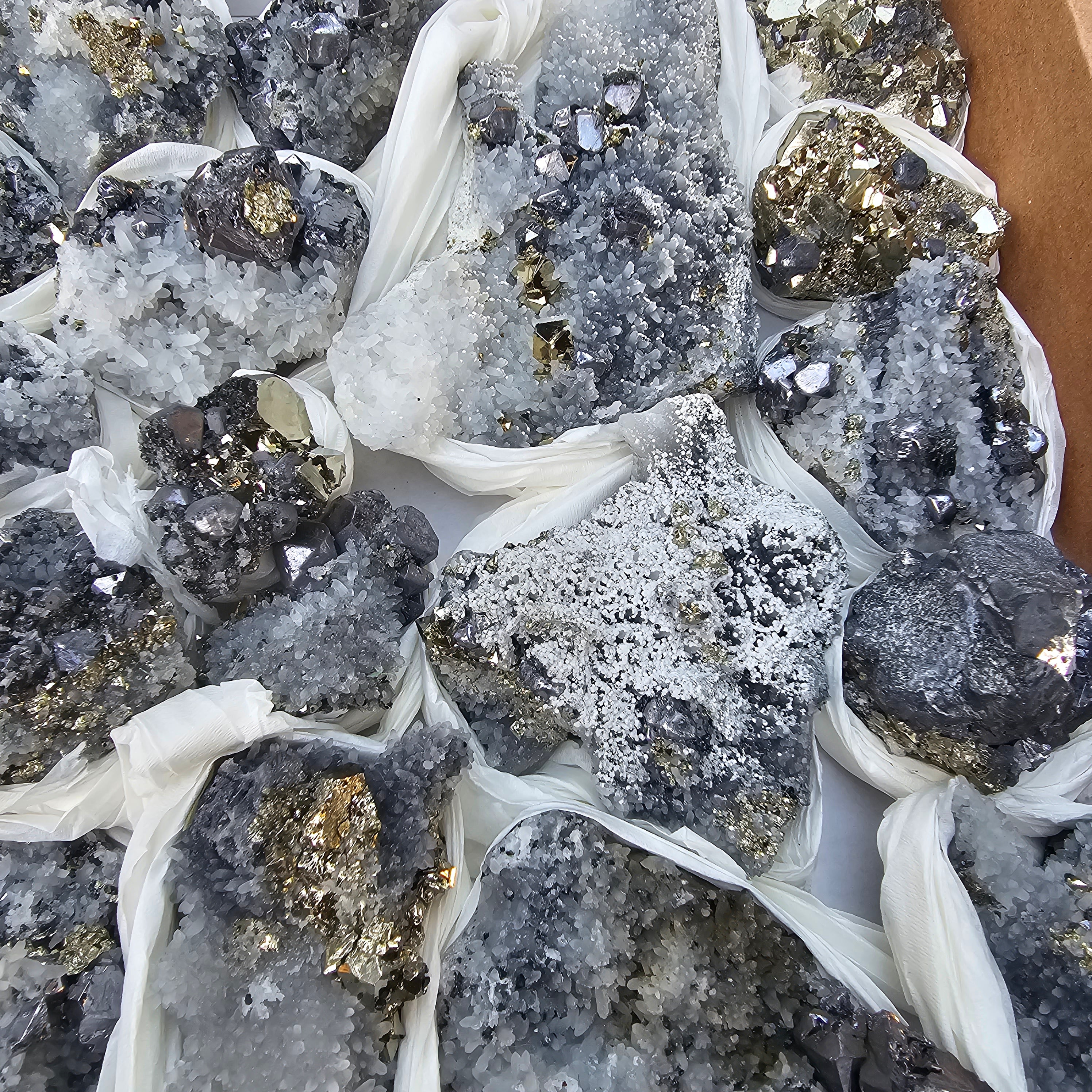 35 pc Galena crystals on octahedral pyrite