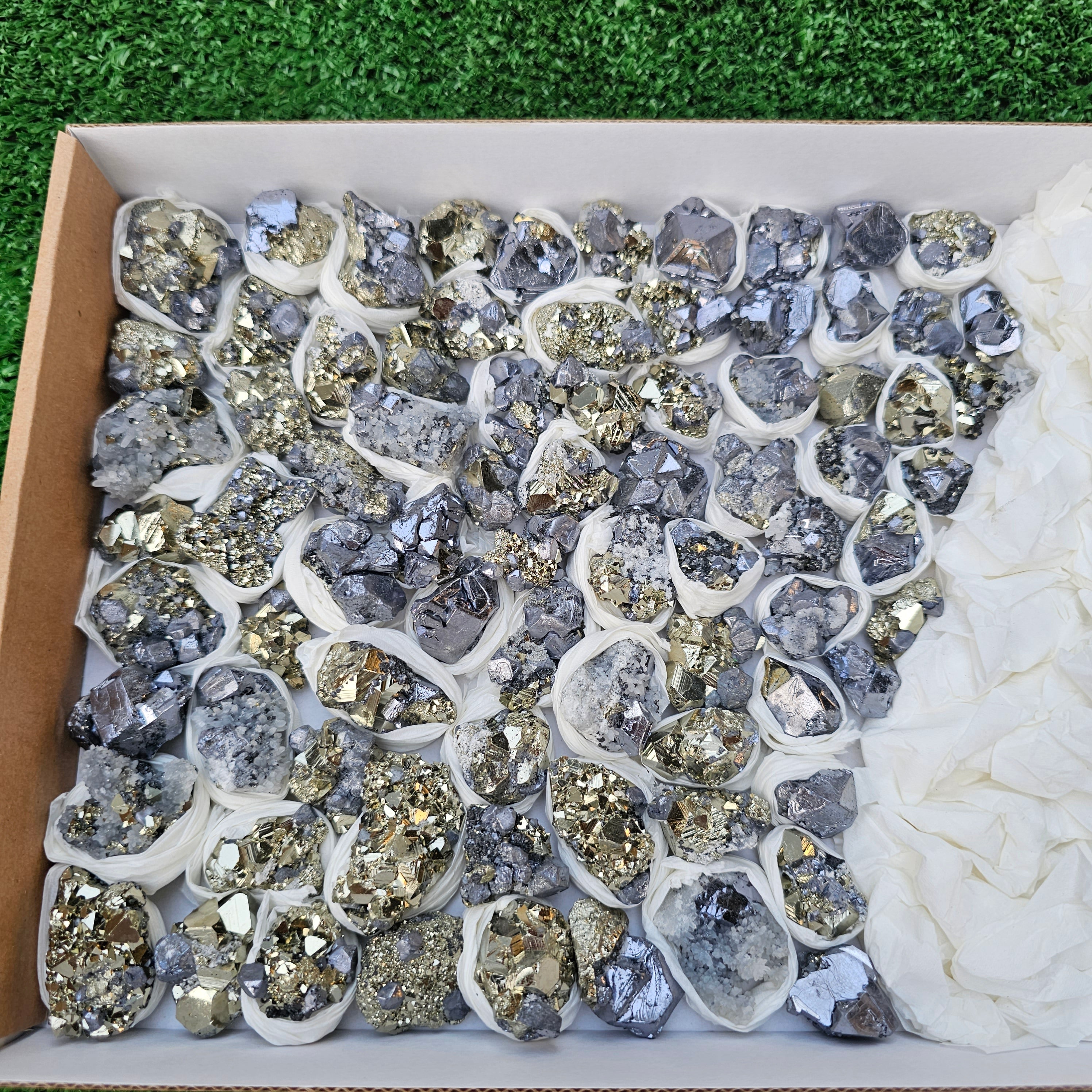81 pc Galena crystals on octahedral pyrite
