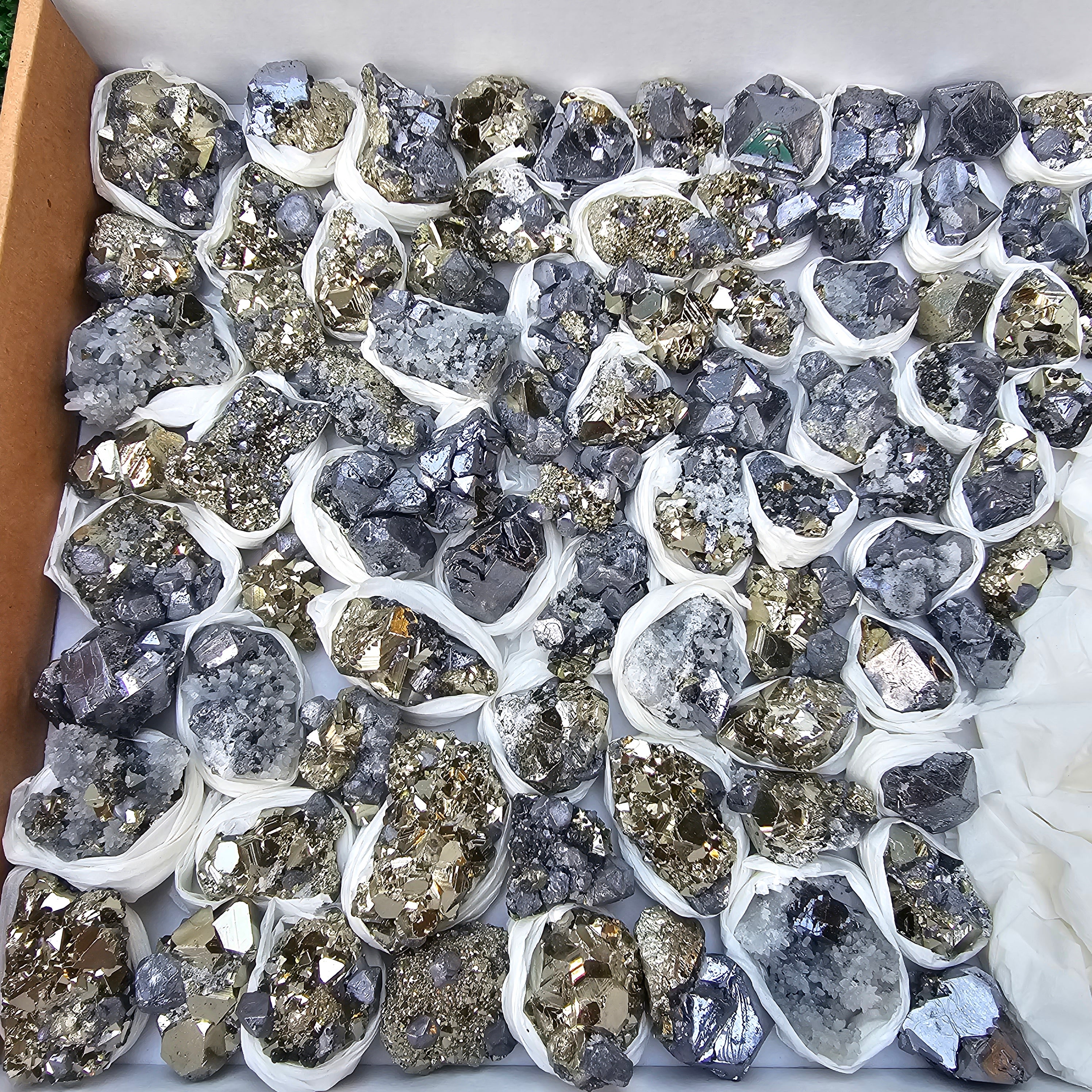 81 pc Galena crystals on octahedral pyrite