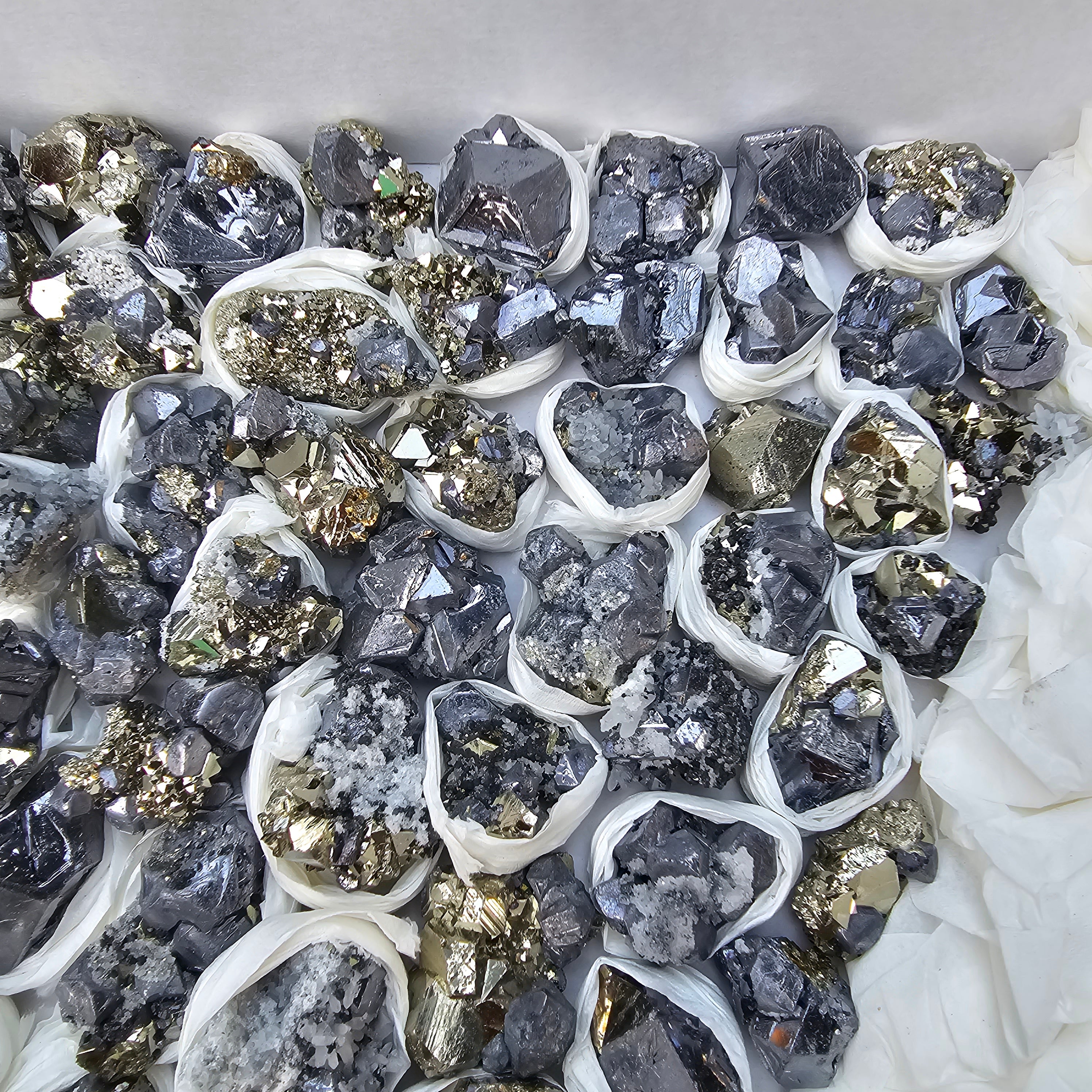 81 pc Galena crystals on octahedral pyrite