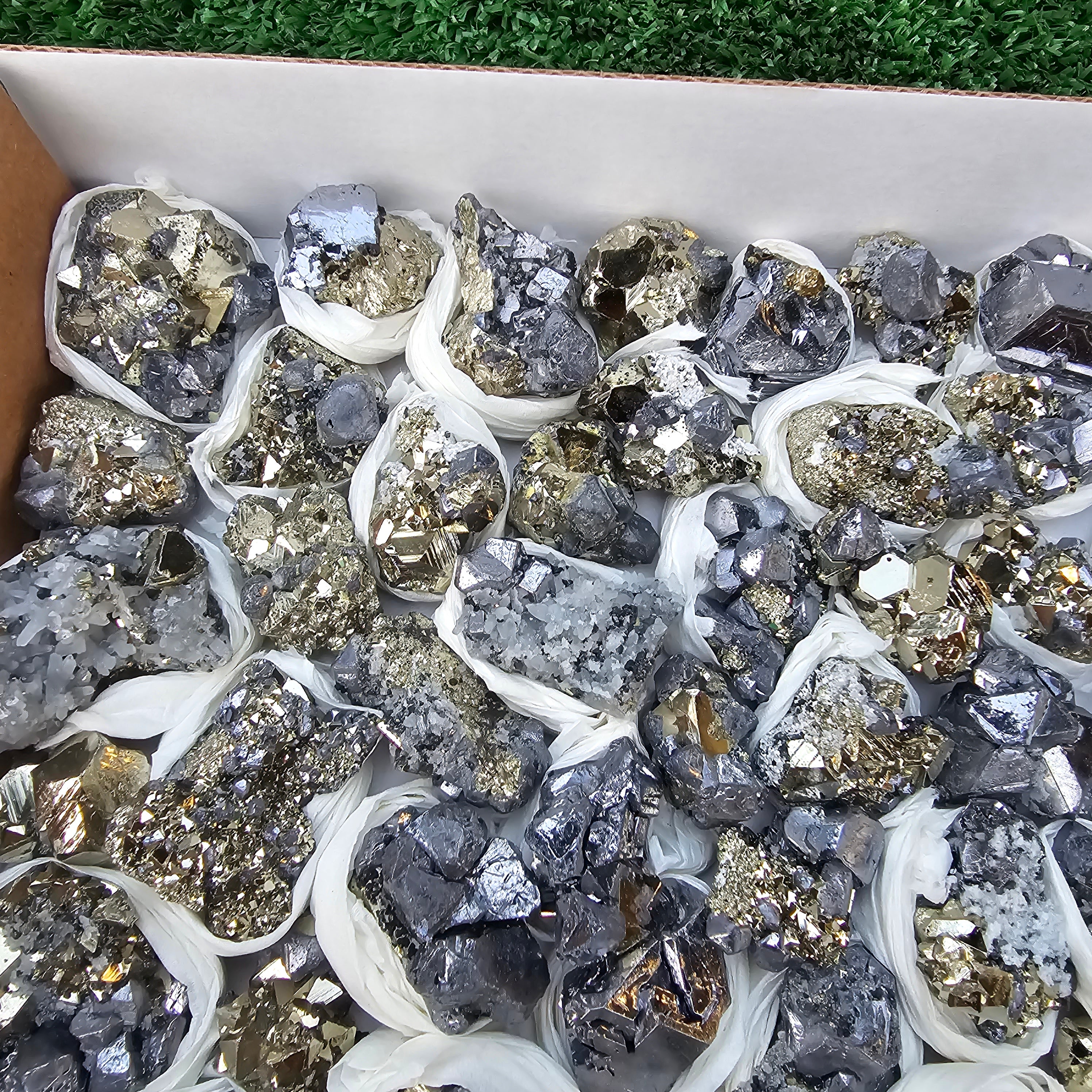 81 pc Galena crystals on octahedral pyrite
