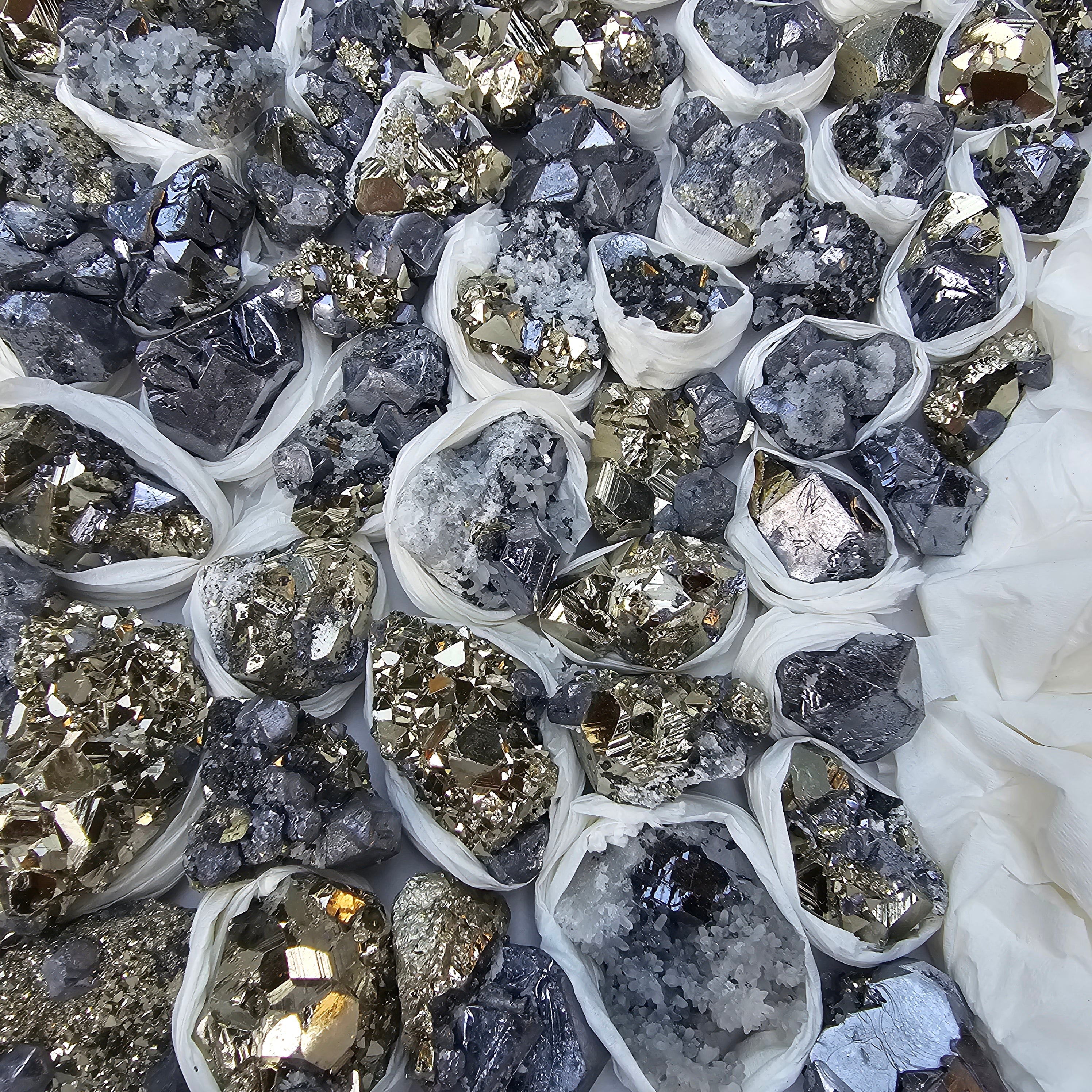 81 pc Galena crystals on octahedral pyrite