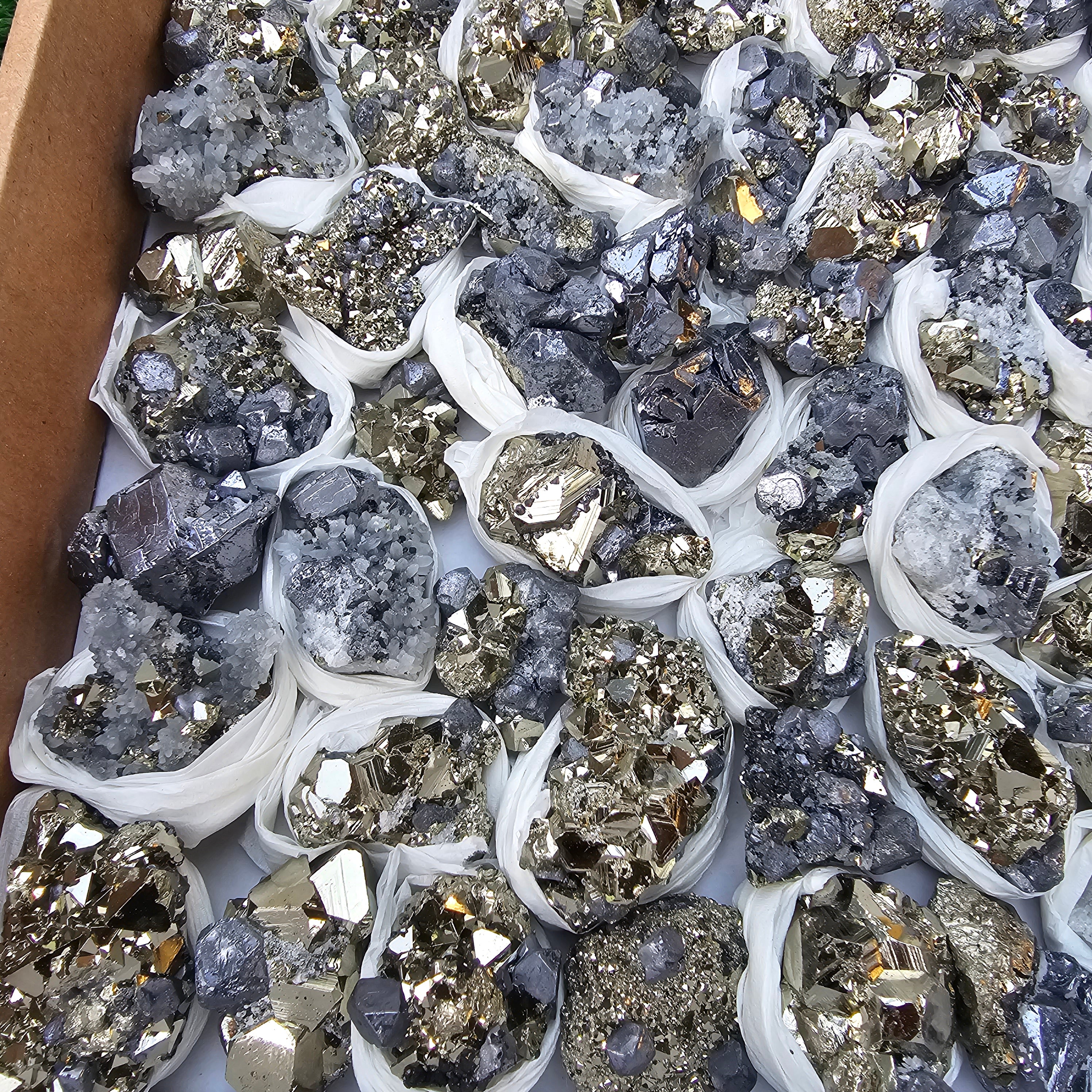 81 pc Galena crystals on octahedral pyrite
