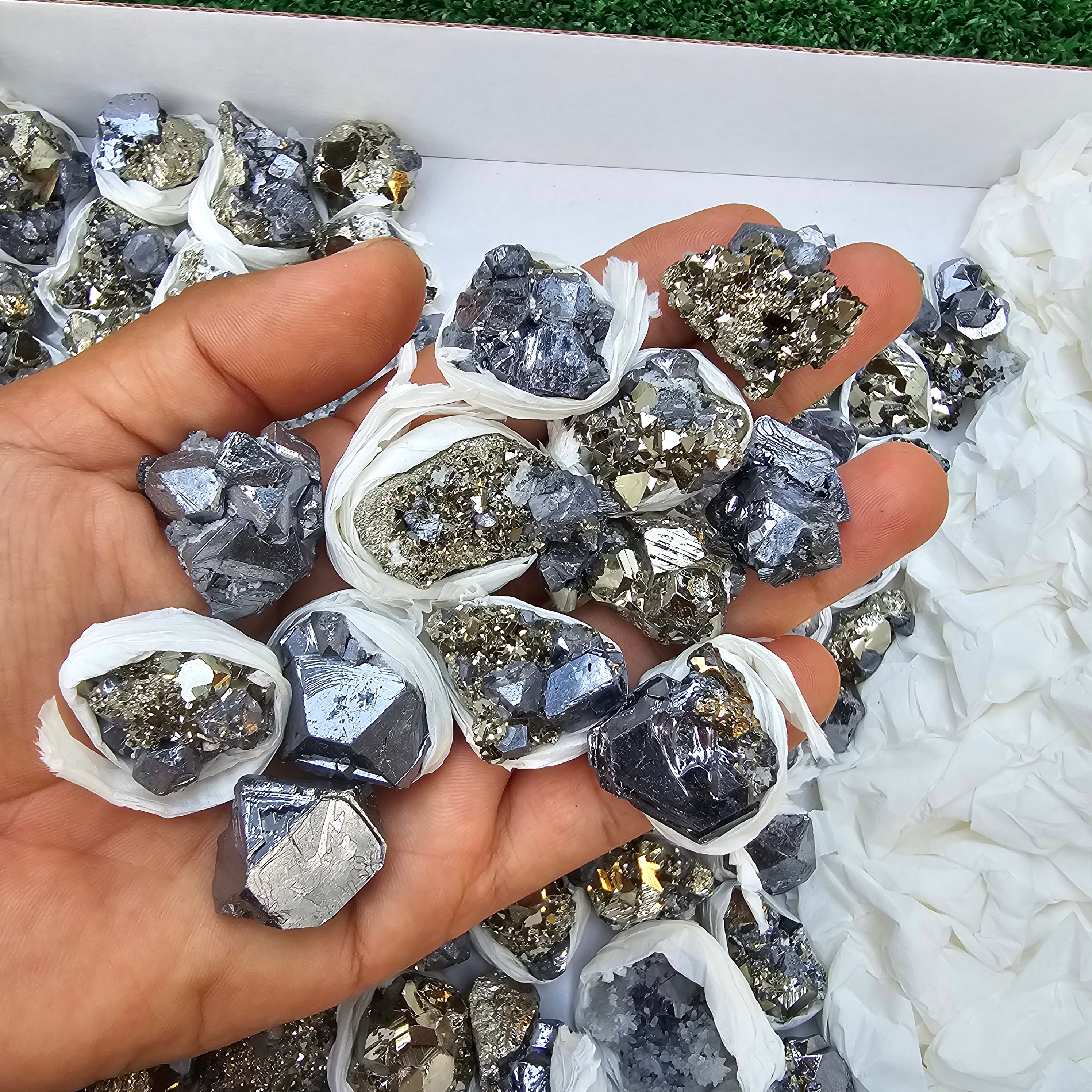 81 pc Galena crystals on octahedral pyrite