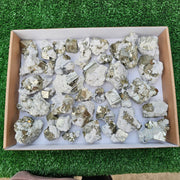 40 pc Pyrite Cubic with calcite flourecent