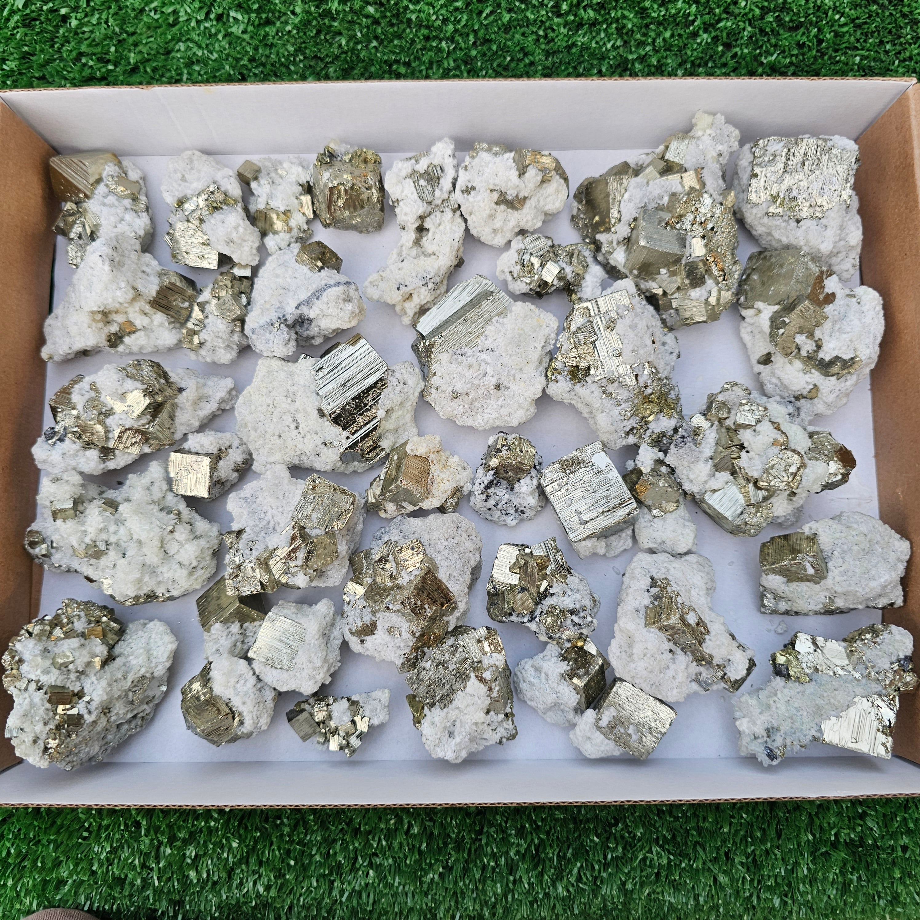 40 pc Pyrite Cubic with calcite flourecent