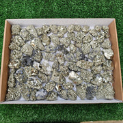 72 pc pyrite octahedral