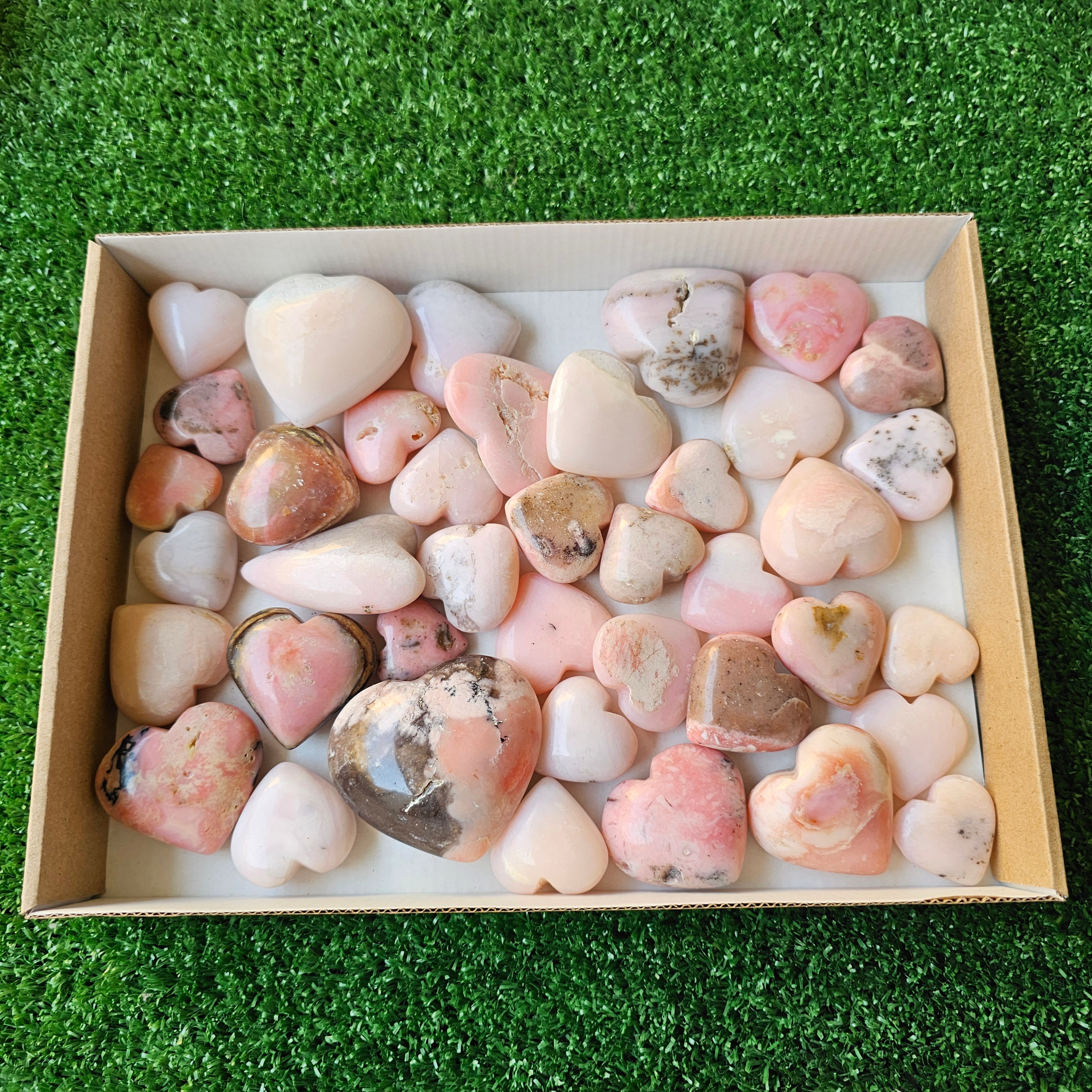 Lot 40 pcs pink opal palm