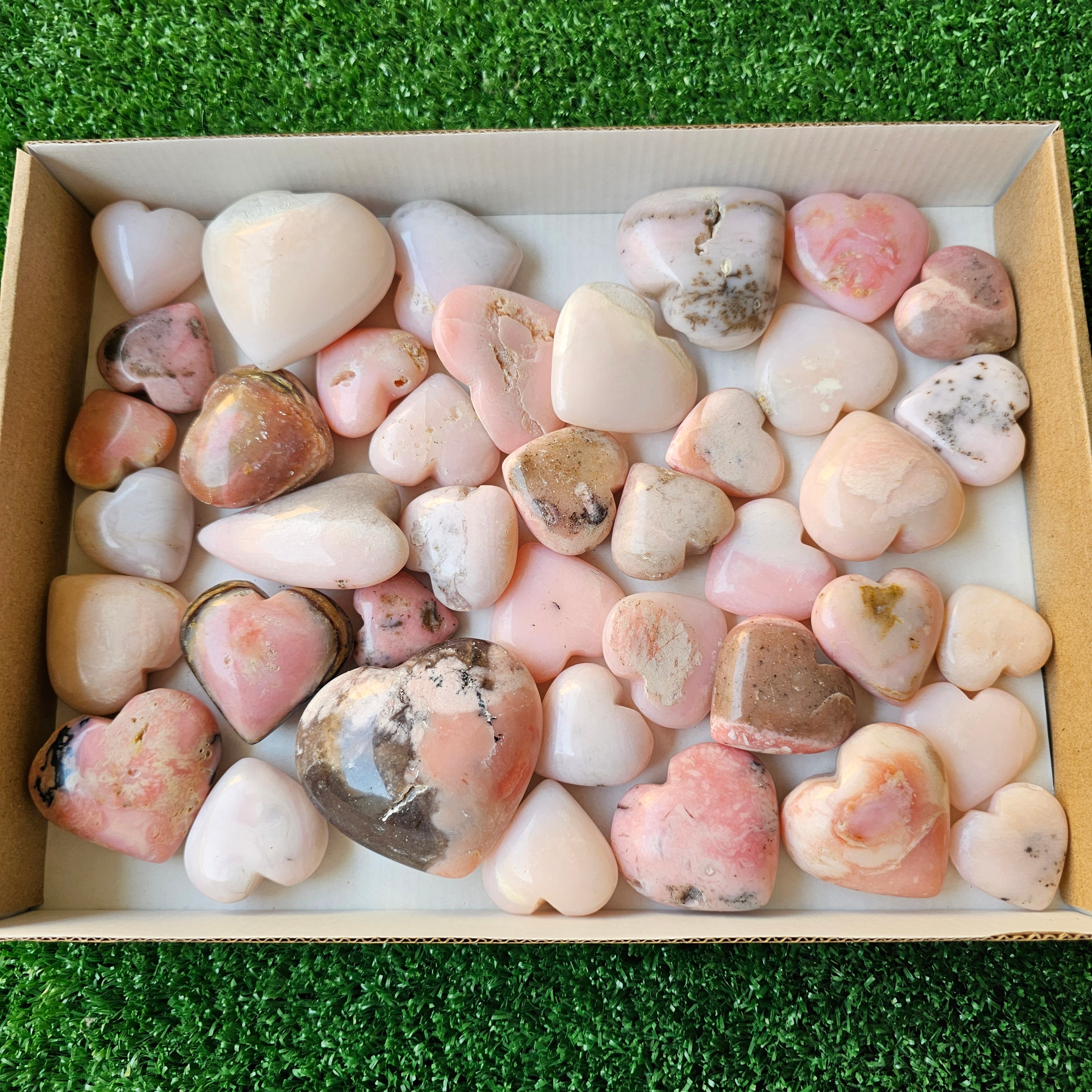 Lot 40 pcs pink opal palm