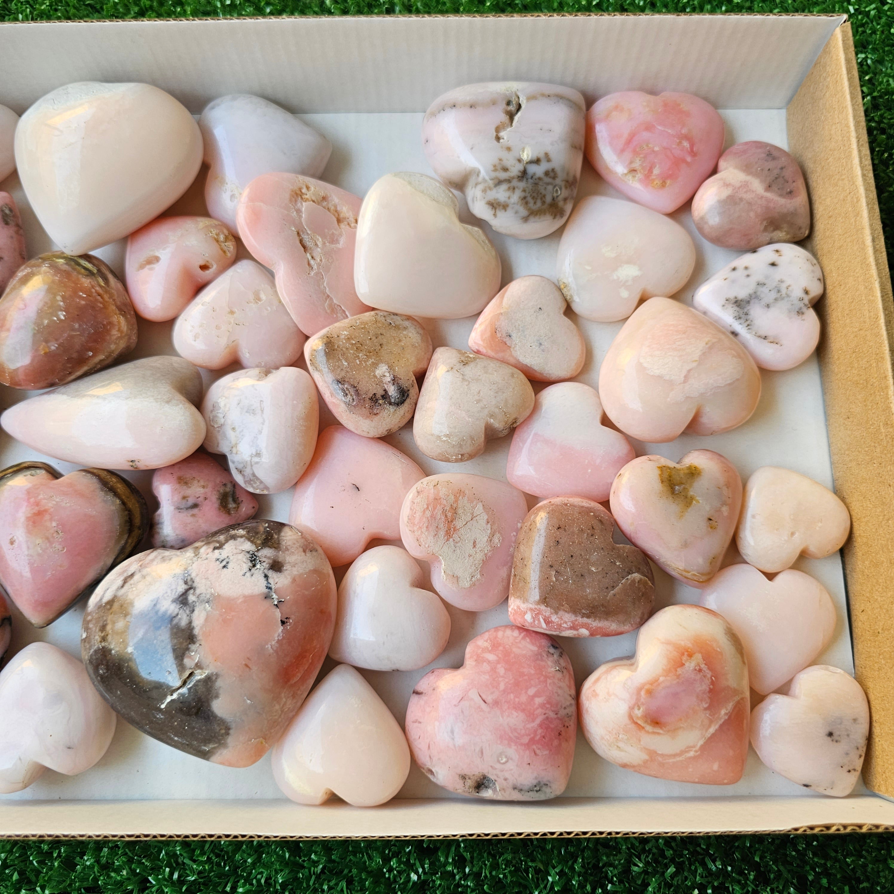 Lot 40 pcs pink opal palm