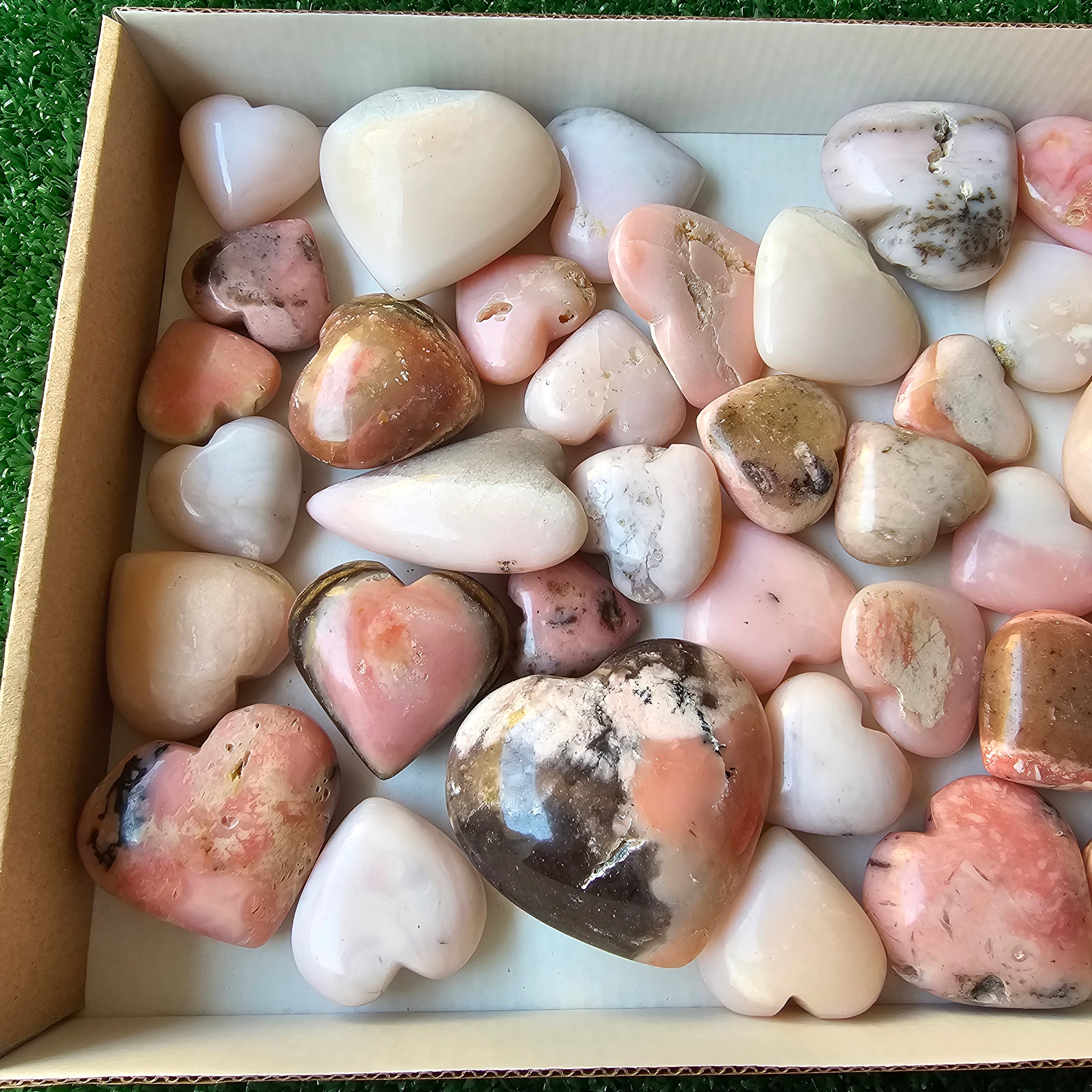 Lot 40 pcs pink opal palm
