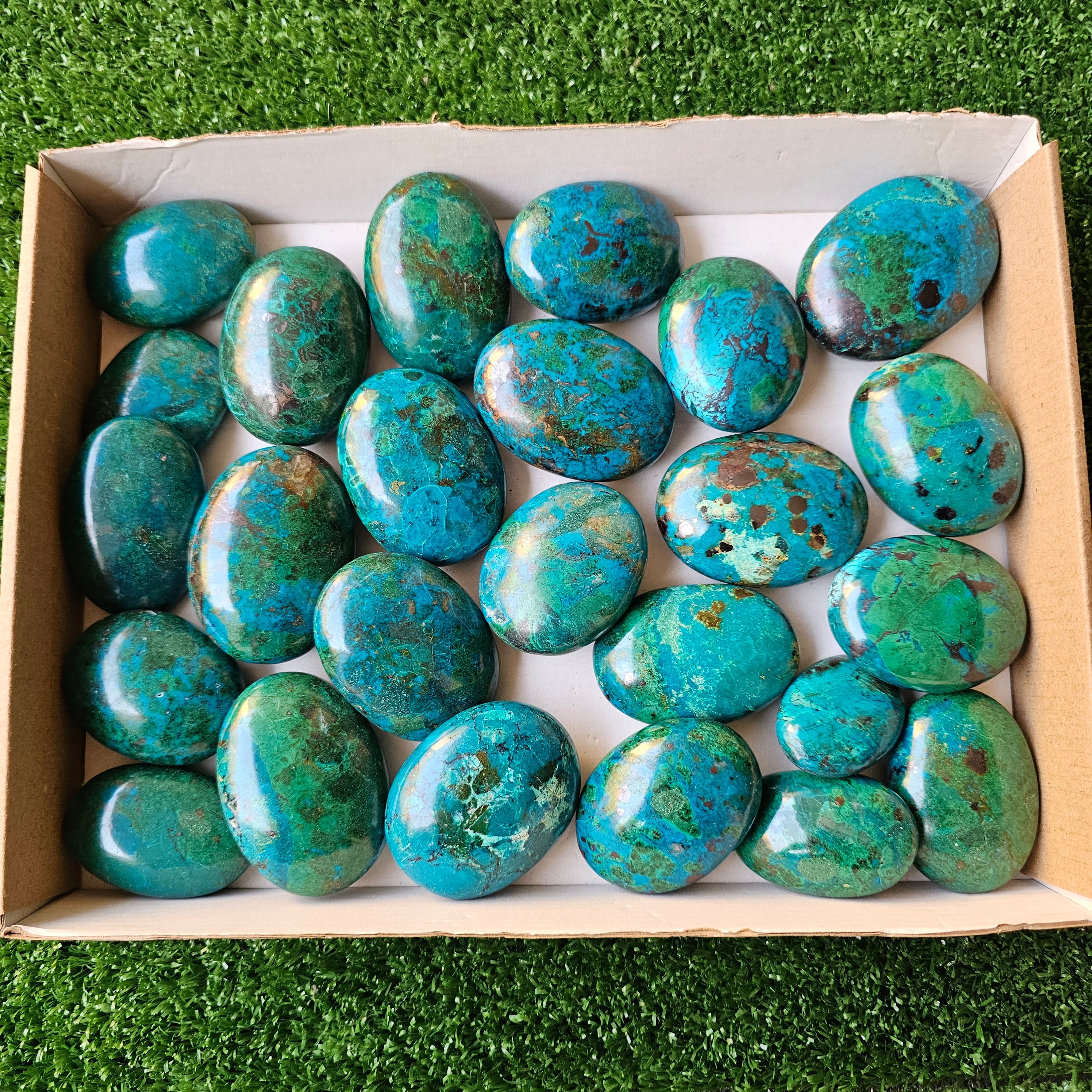 Lot 25 pcs chrysocolla palms