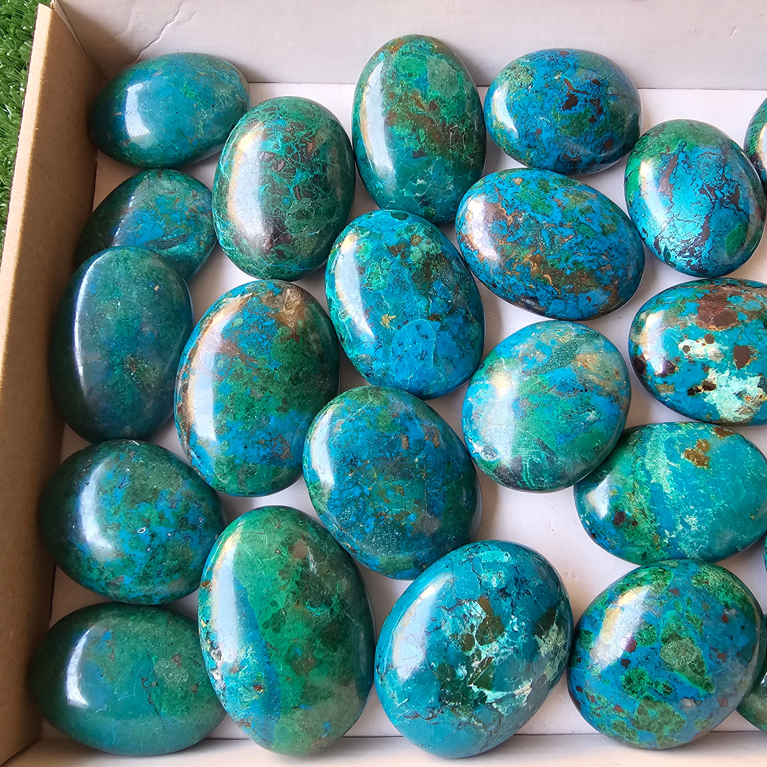 Lot 25 pcs chrysocolla palms