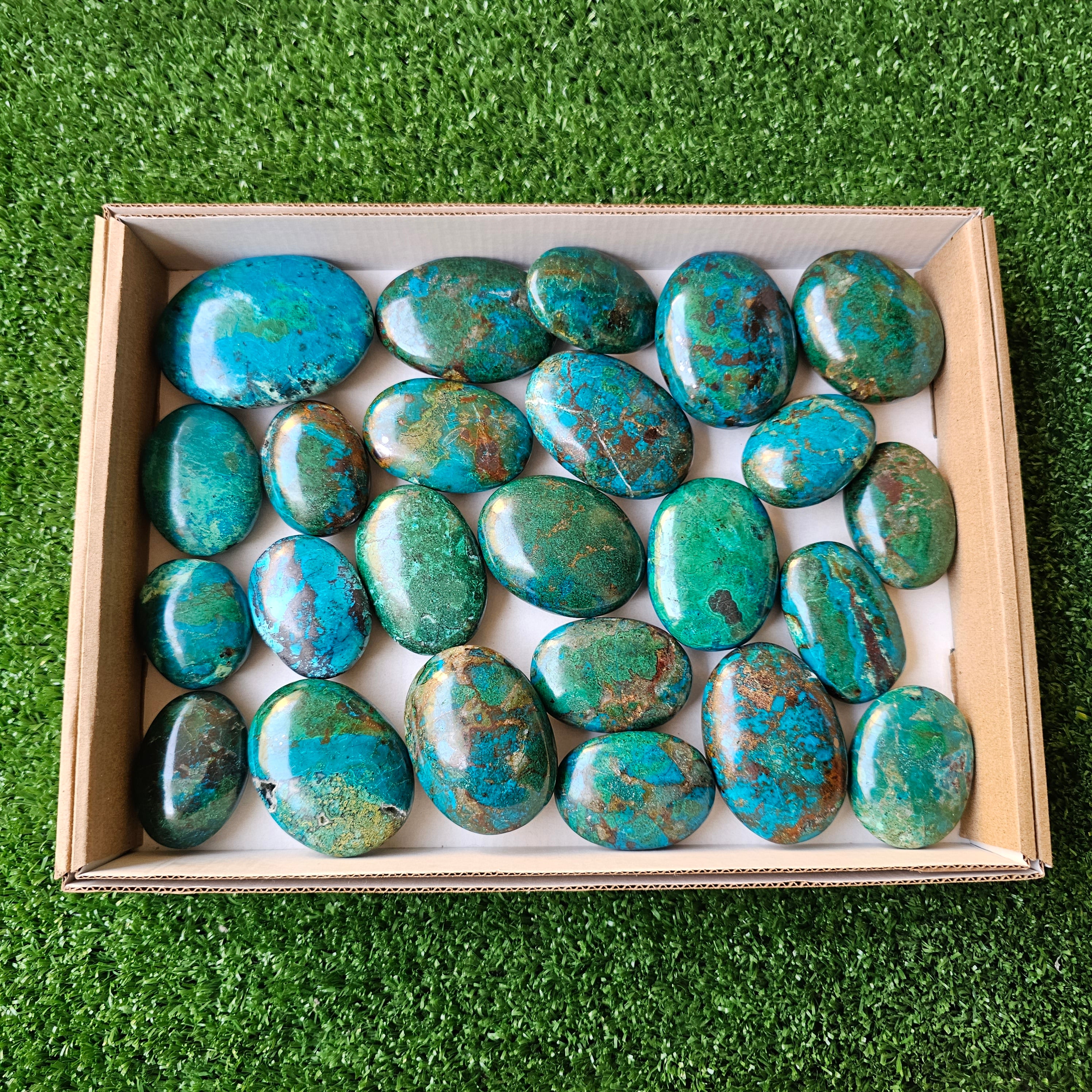 Lot 24 pcs chrysocolla palms
