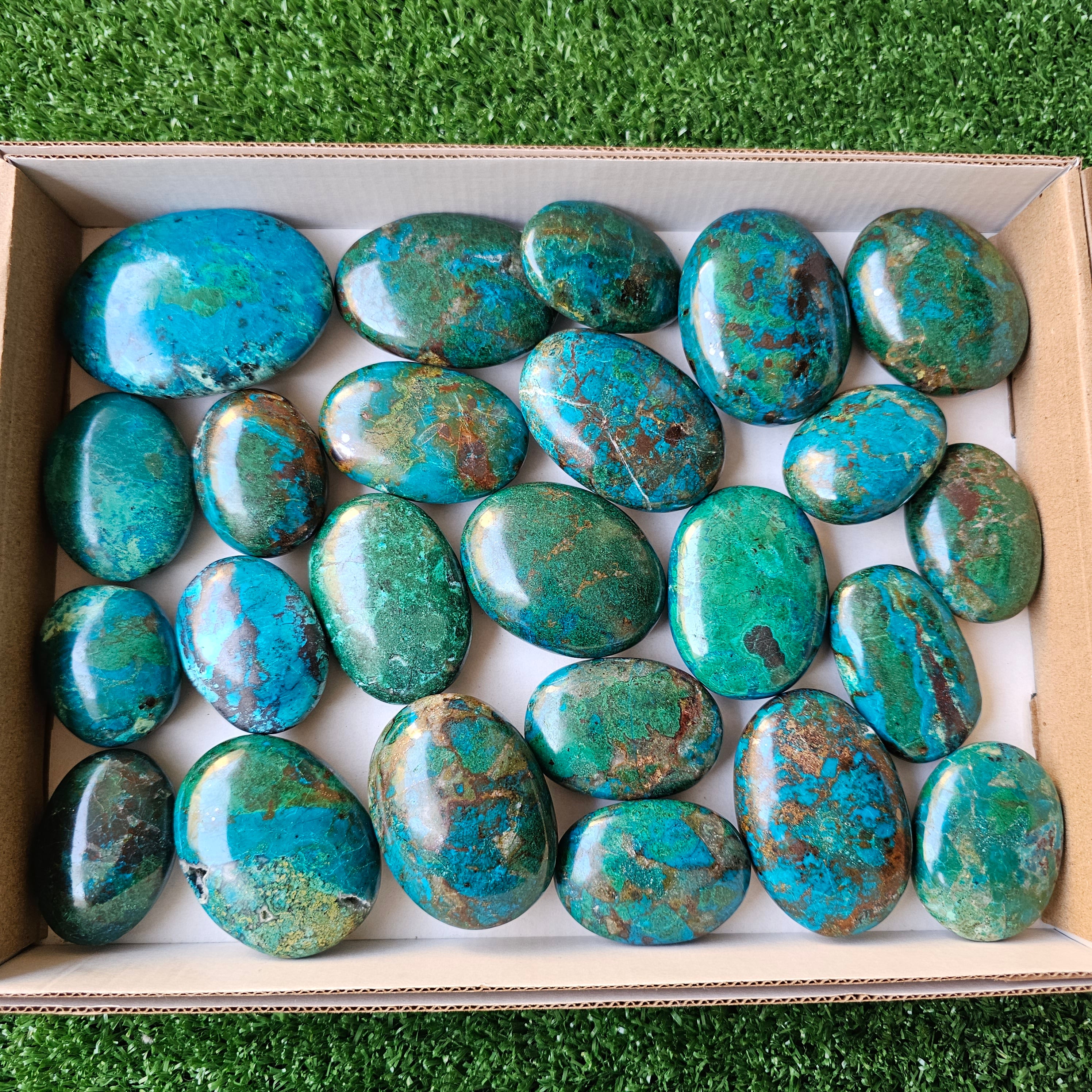 Lot 24 pcs chrysocolla palms