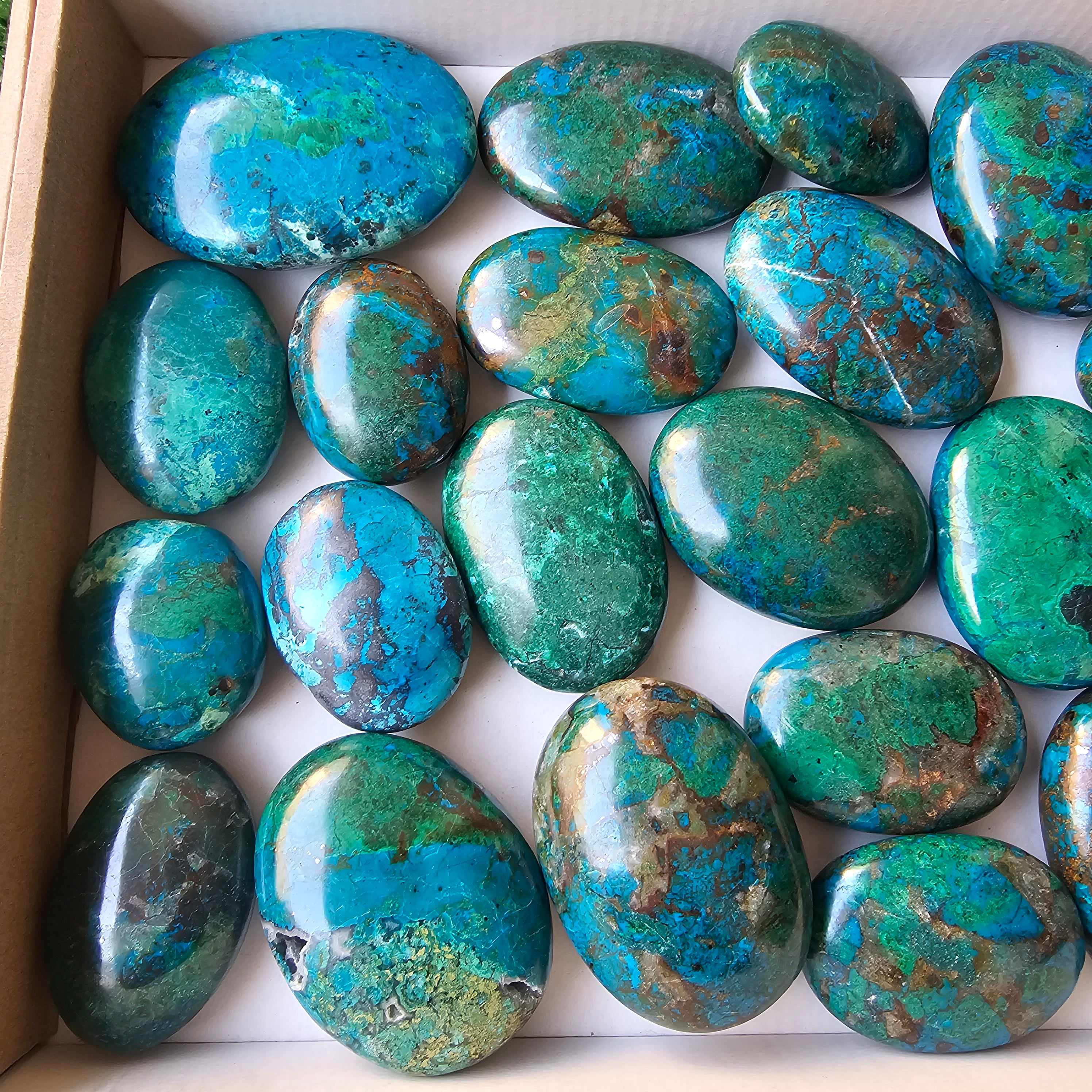 Lot 24 pcs chrysocolla palms