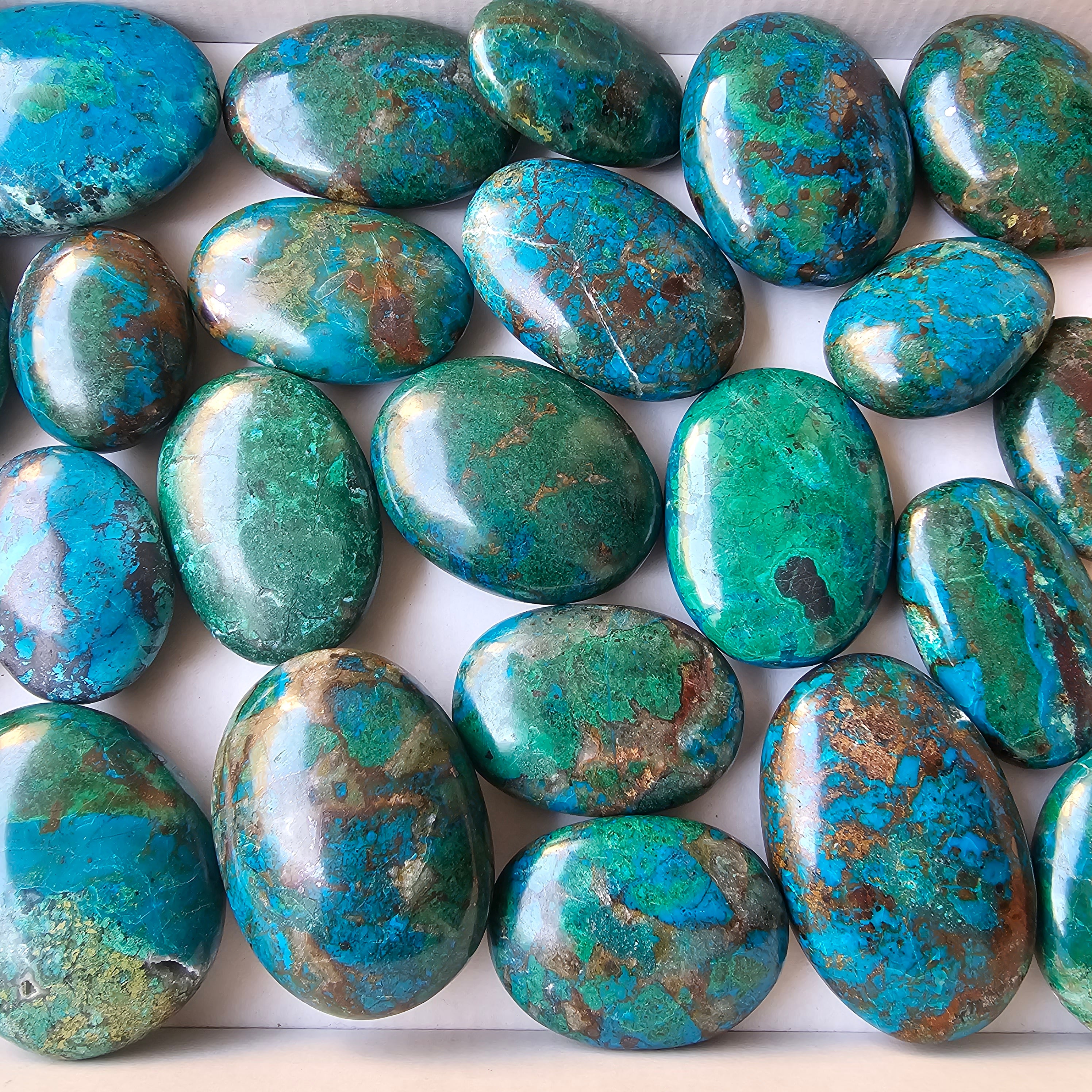 Lot 24 pcs chrysocolla palms