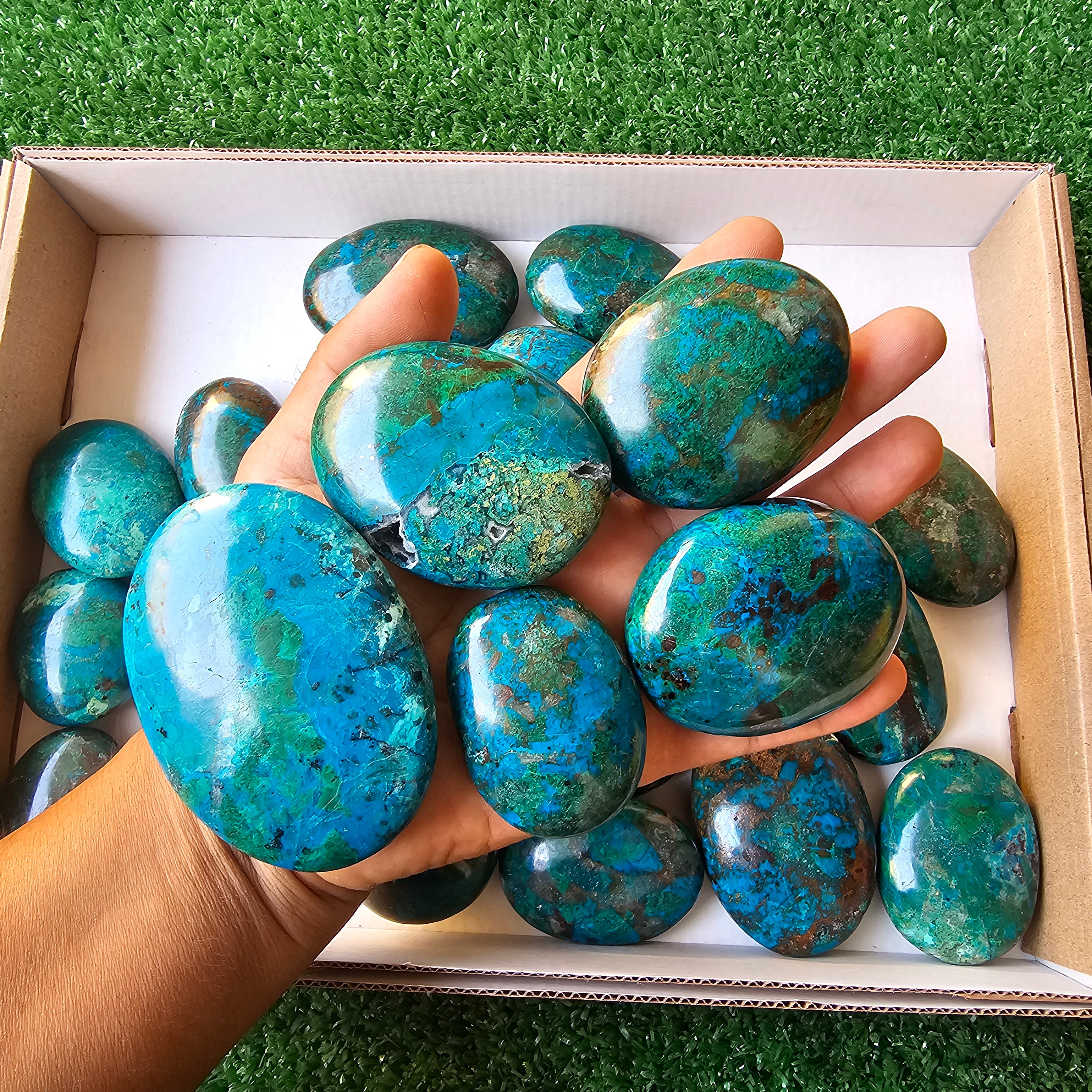 Lot 24 pcs chrysocolla palms