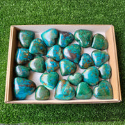 Lot 24 pcs chrysocolla hearts