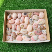 33 pc pink opal palms