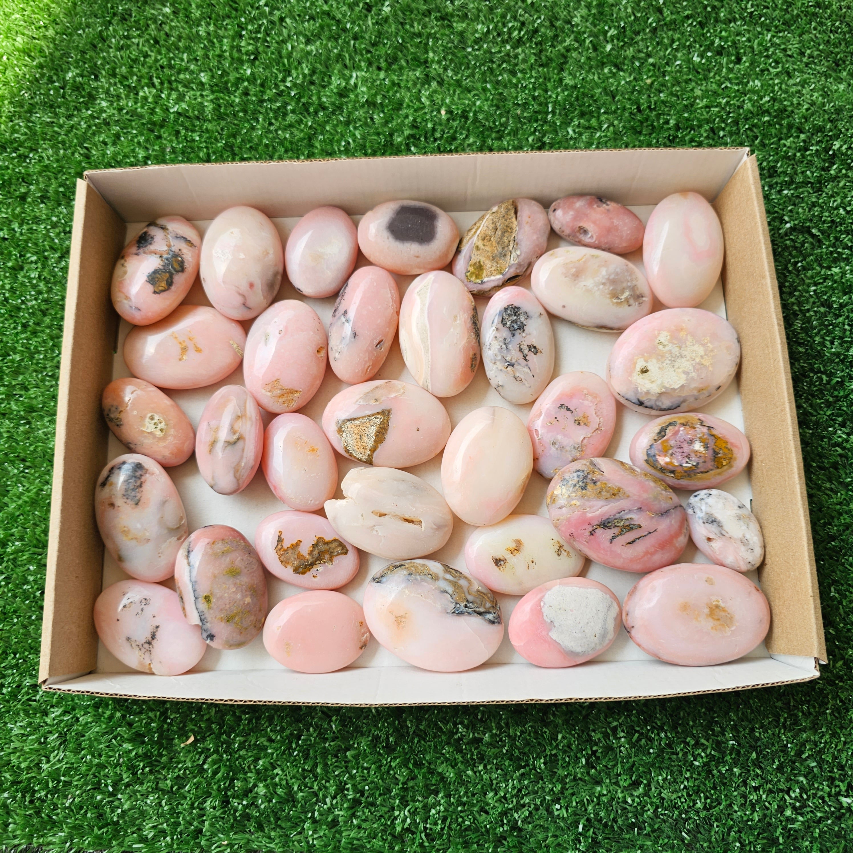 33 pc pink opal palms