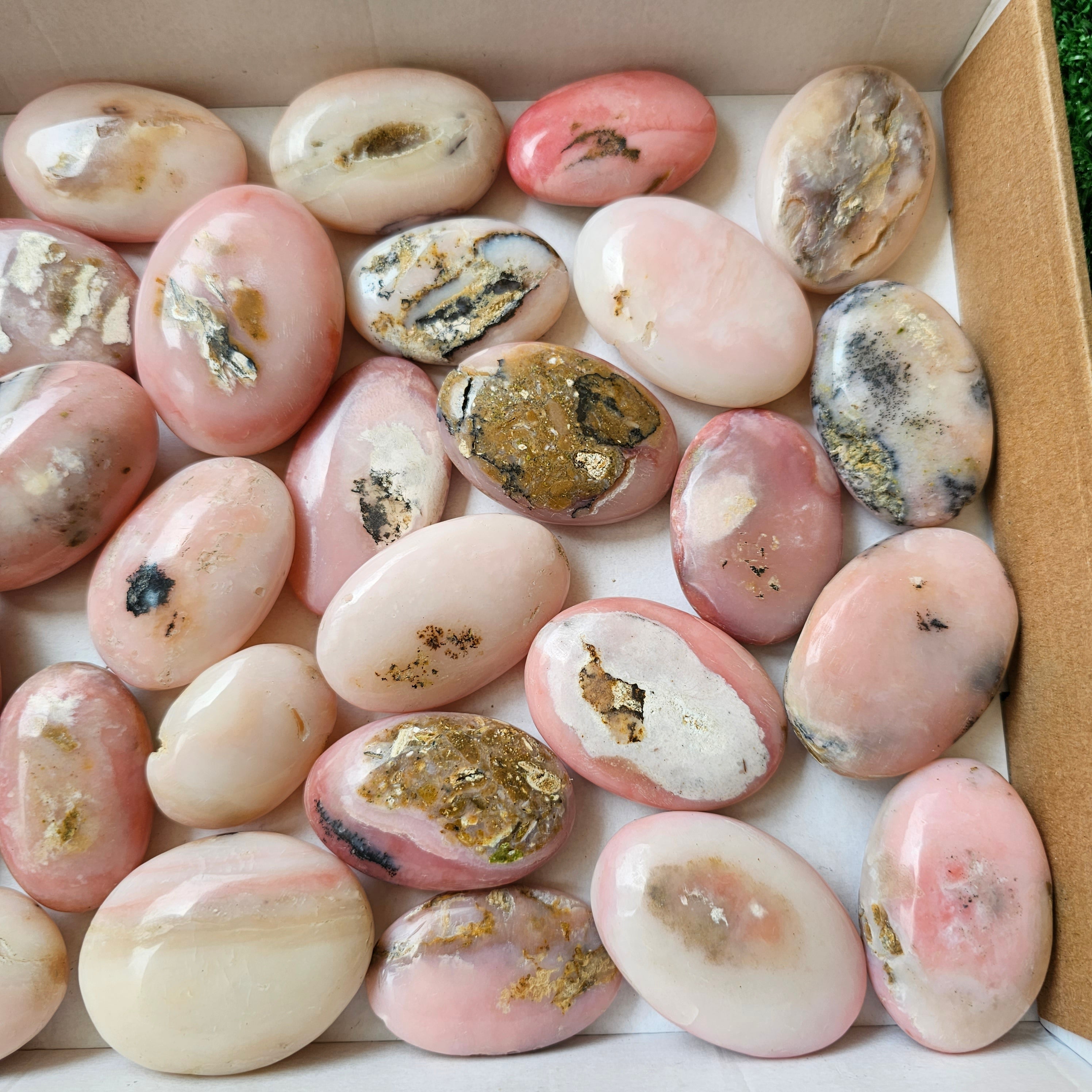 30 pc pink opal palms