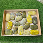18 pc green serpentine palms