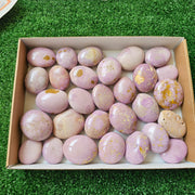 29 pc phosphosiderite palms