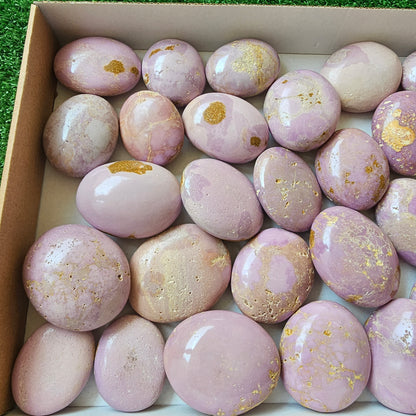 29 pc phosphosiderite palms