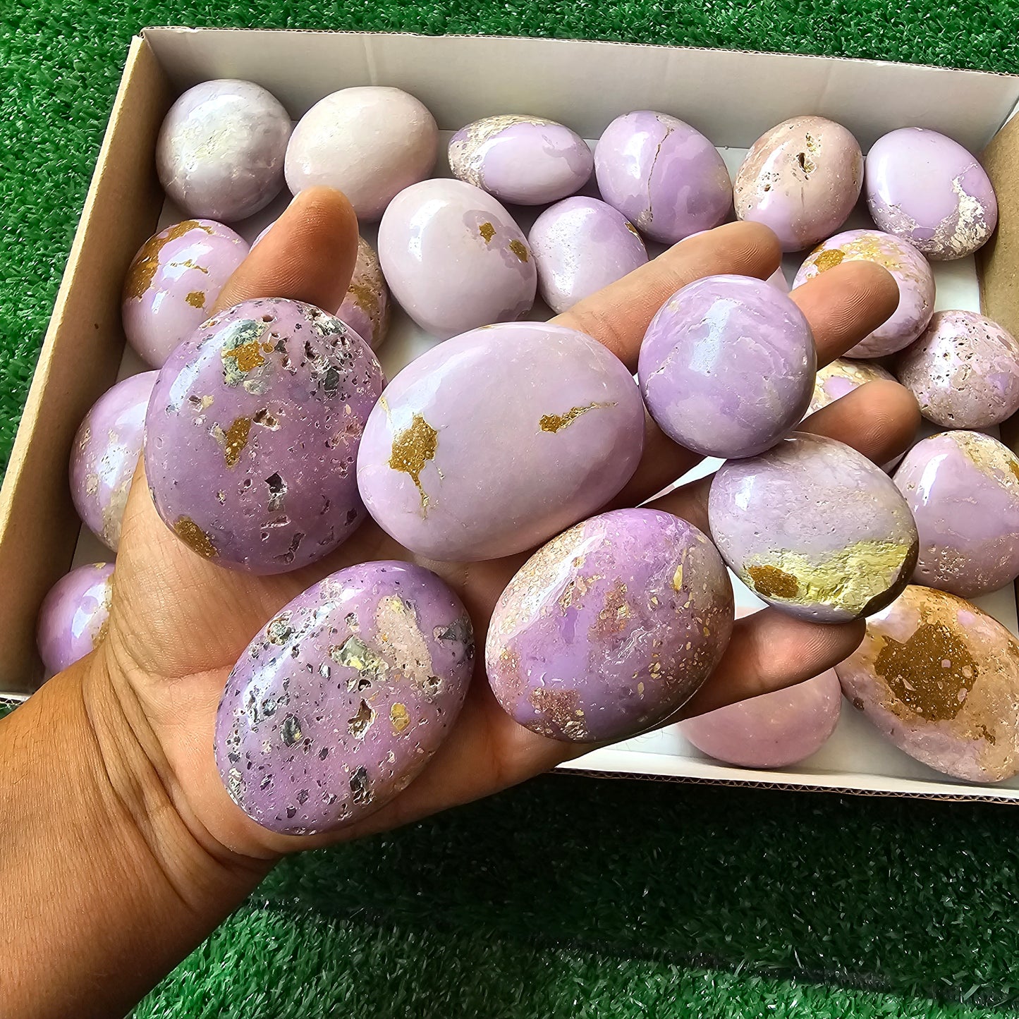 30 pc phosphosiderite palms