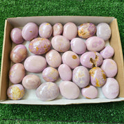 29 pc phosphosiderite palms