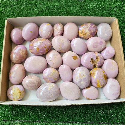 29 pc phosphosiderite palms