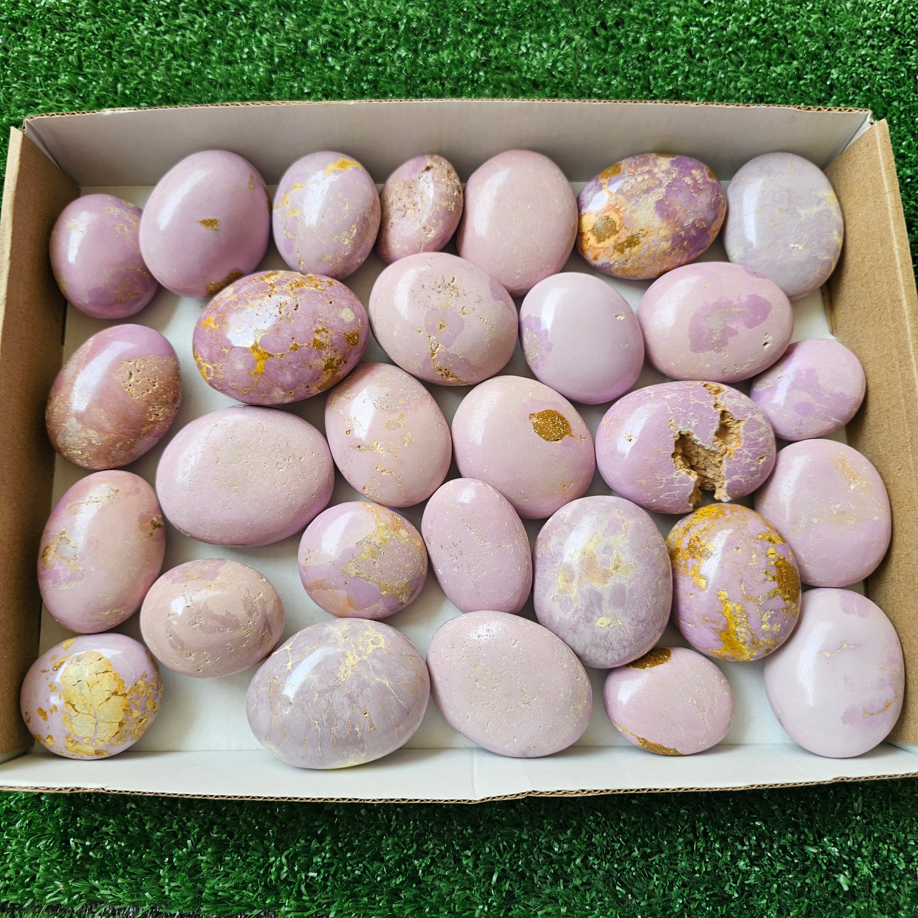 29 pc phosphosiderite palms