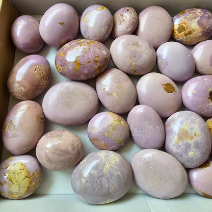 29 pc phosphosiderite palms