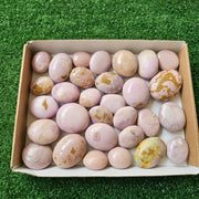 30 pc phosphosiderite palms
