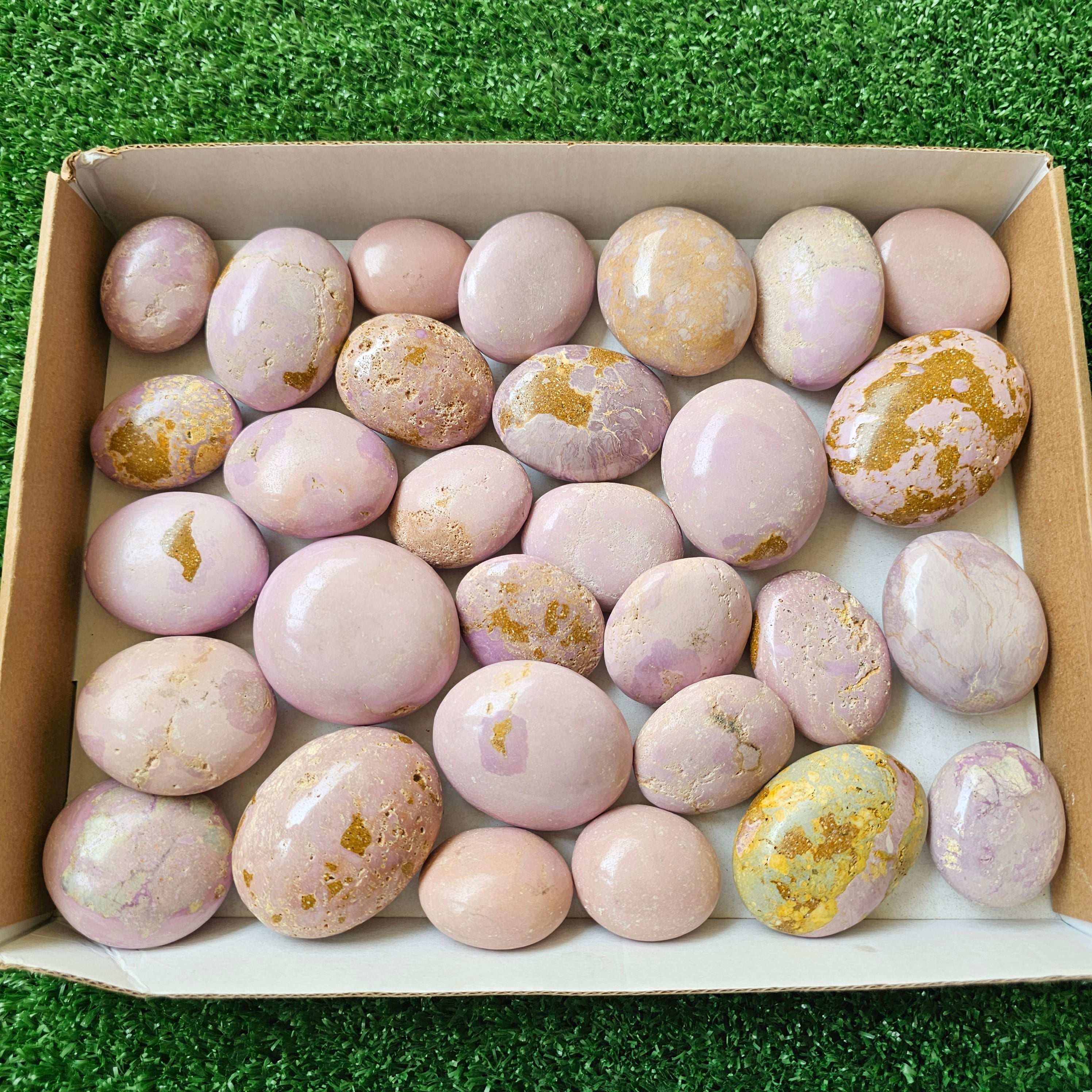 30 pc phosphosiderite palms
