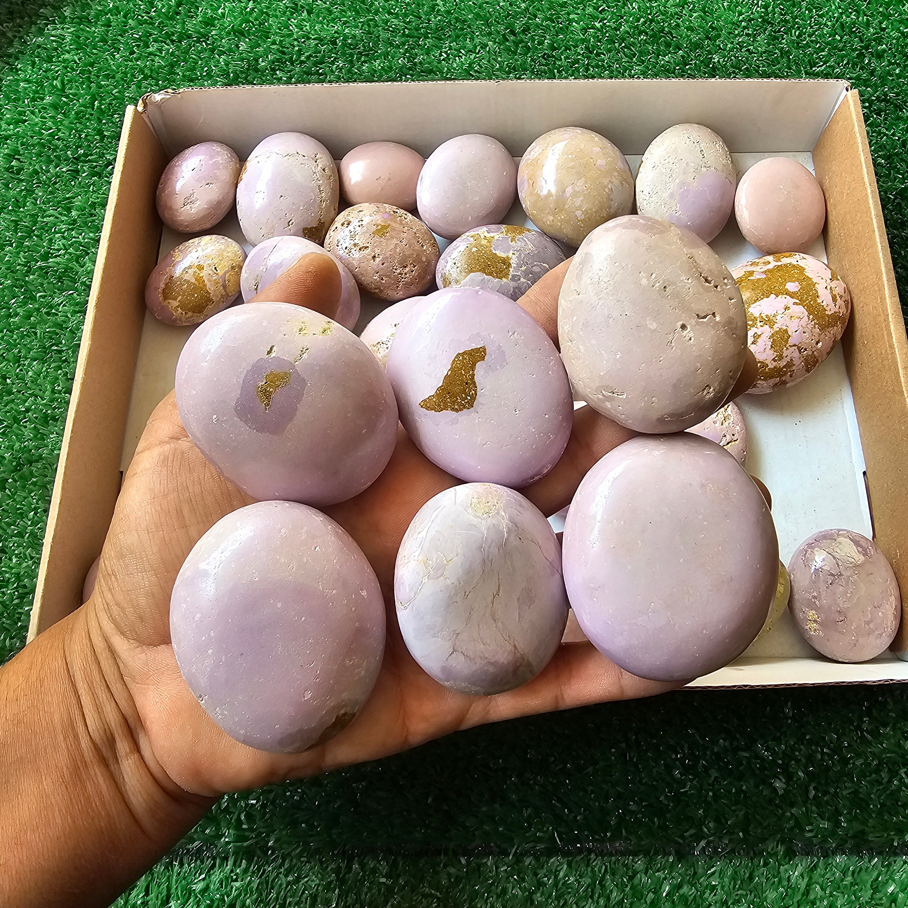 30 pc phosphosiderite palms