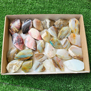 28 pc blue opal & strawberry pink opal flames