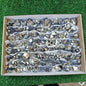 72 pc pyrite octahedral with sphalerite