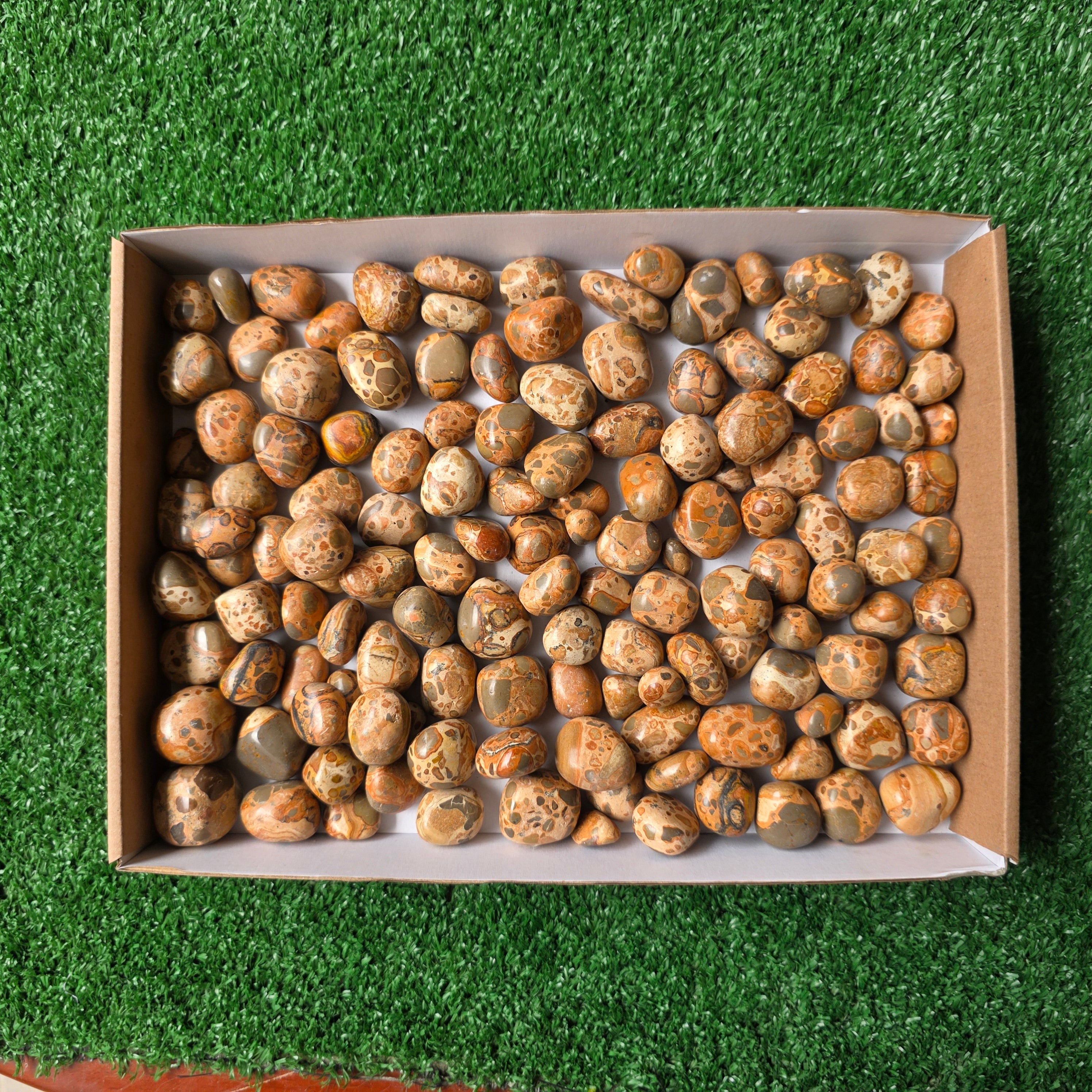 Lot 2 kg Leopardite Tumbled