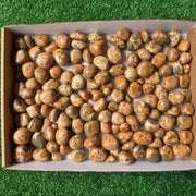 Lot 2 kg Leopardite Tumbled